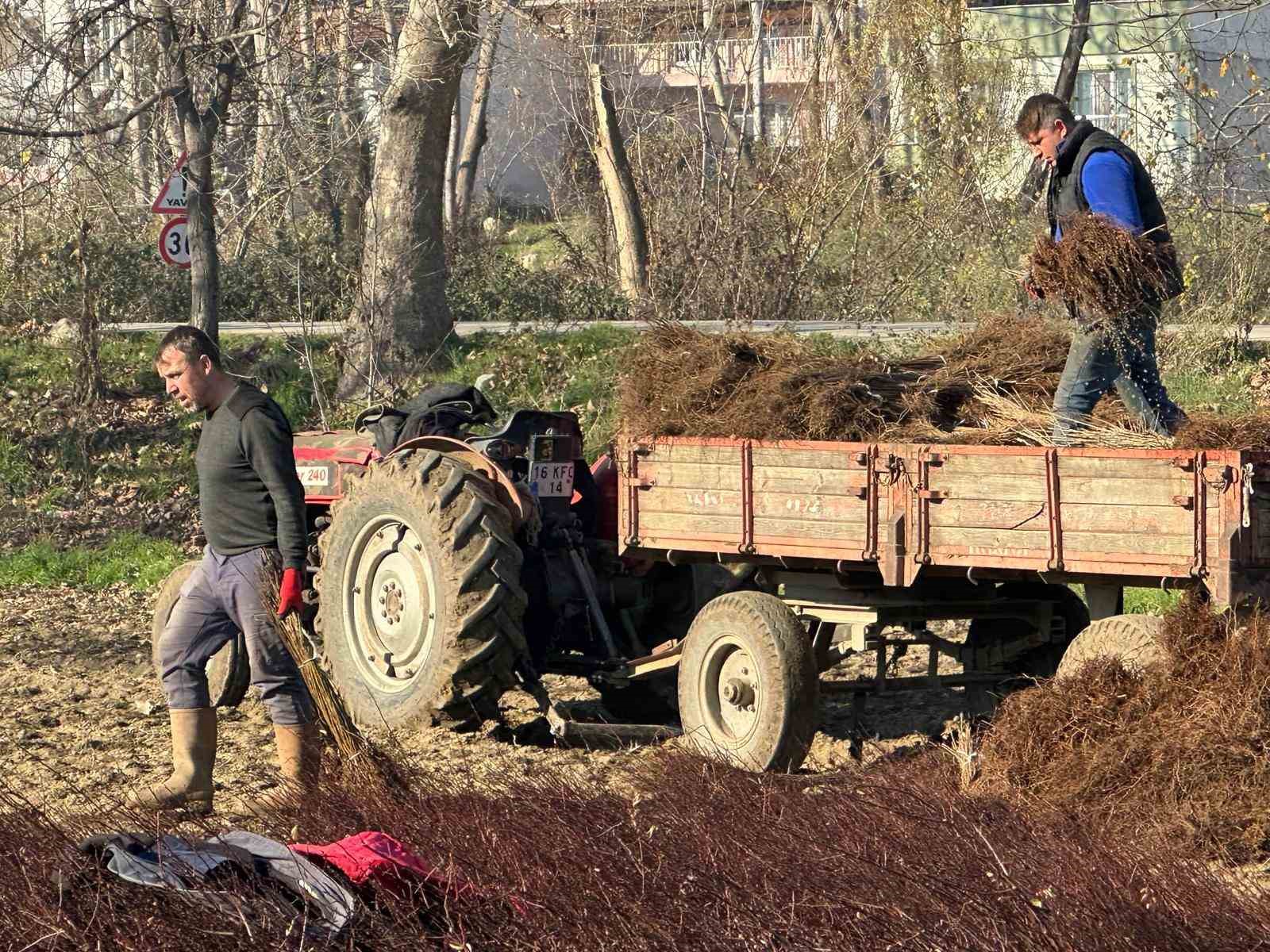 Kurulan her meyve bahçesinde "Bursa" imzası var
