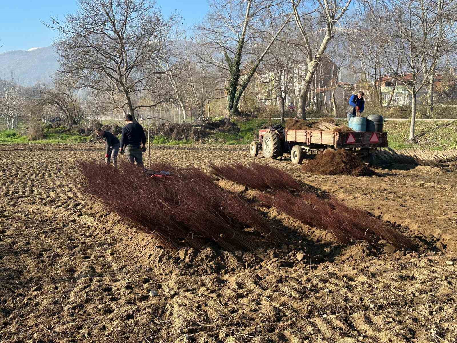 Kurulan her meyve bahçesinde "Bursa" imzası var
