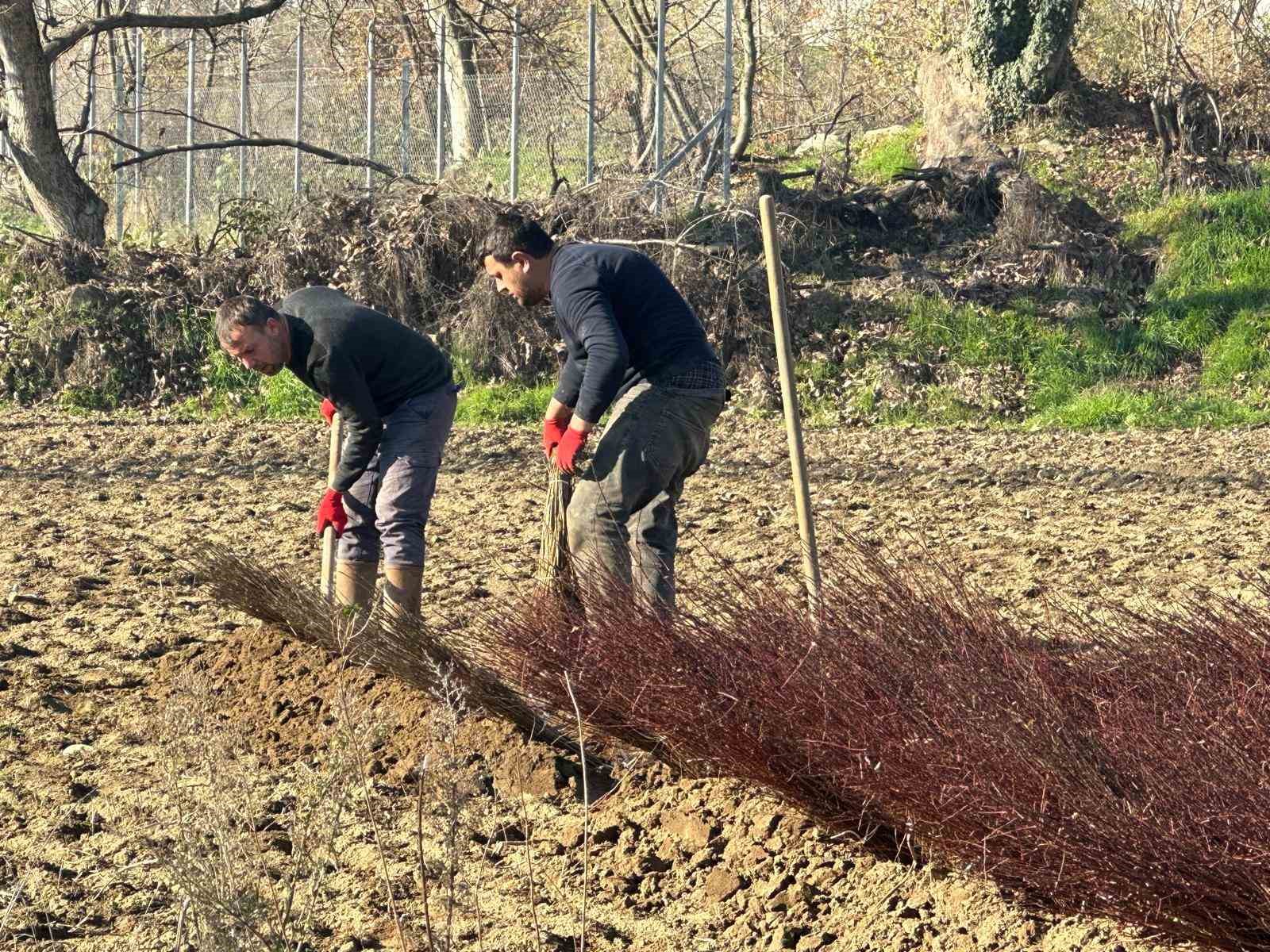 Kurulan her meyve bahçesinde "Bursa" imzası var
