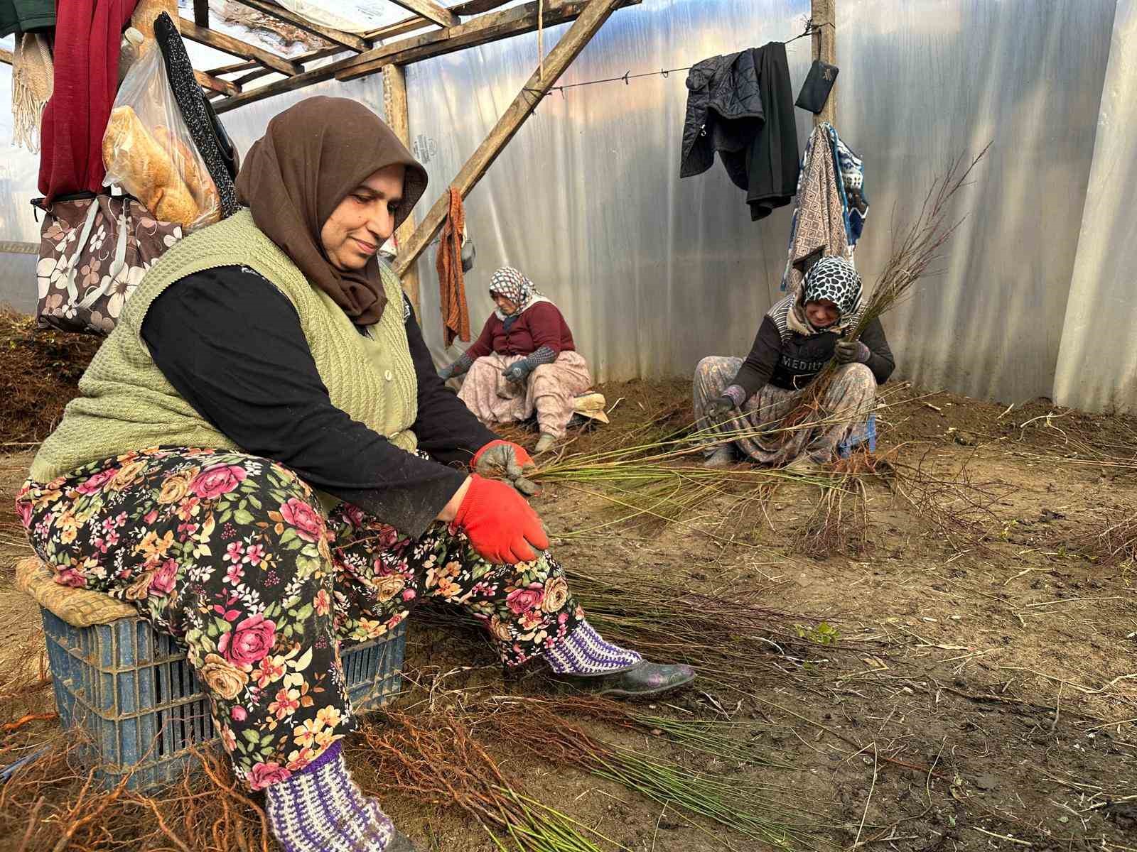 Kurulan her meyve bahçesinde "Bursa" imzası var
