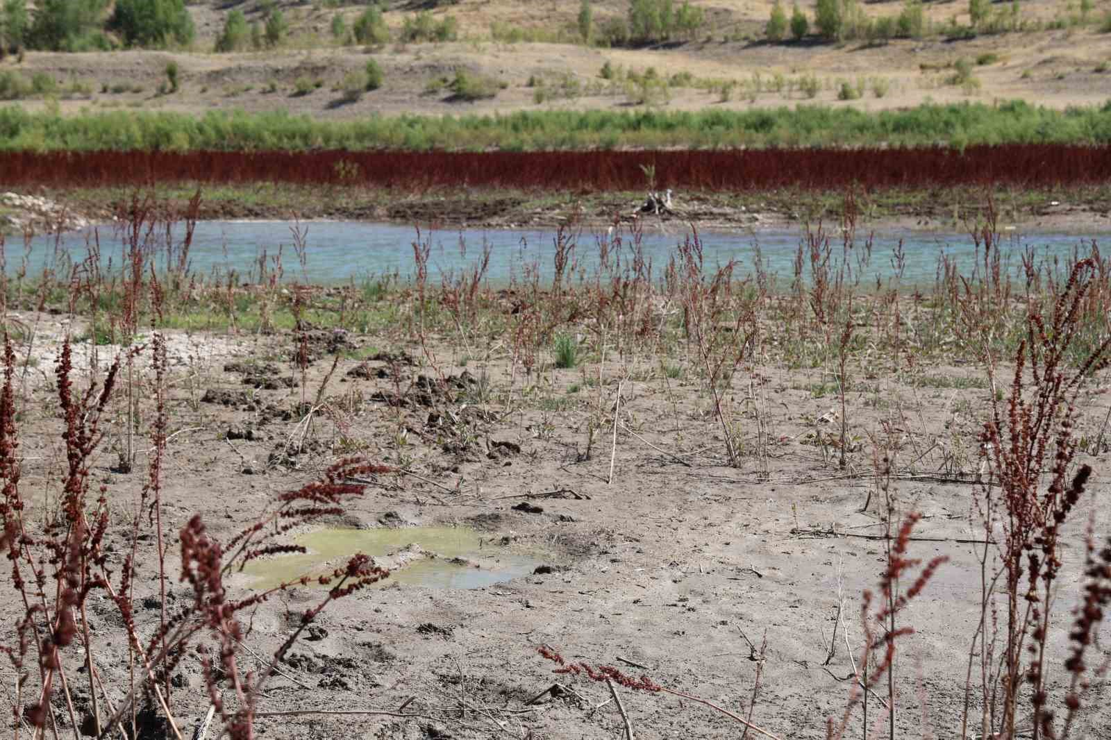 Kuruma noktasına gelen göl, üç ayda doldu taştı
