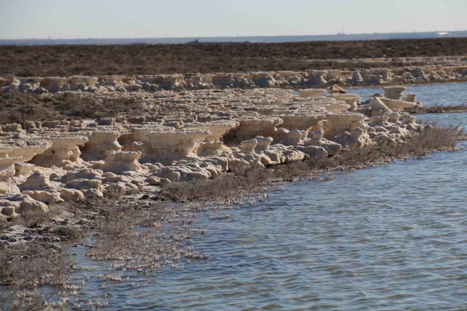 Kuruma tehlikesi yaşanan Tuz Gölü yeniden canlandı
