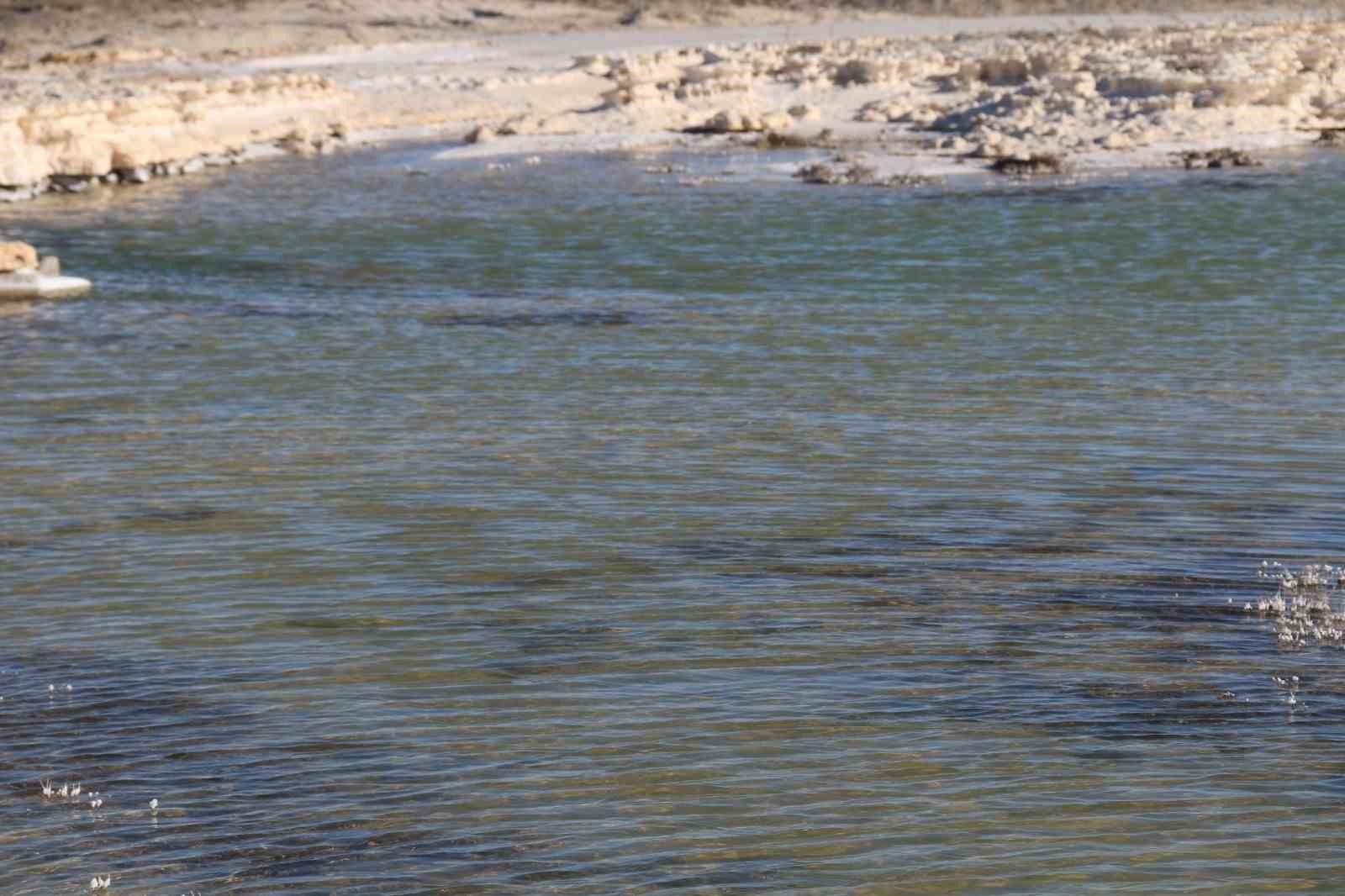 Kuruma tehlikesi yaşanan Tuz Gölü yeniden canlandı
