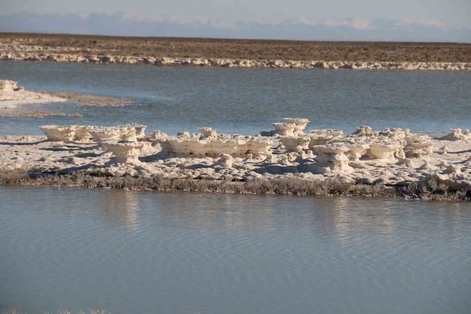 Kuruma tehlikesi yaşanan Tuz Gölü yeniden canlandı
