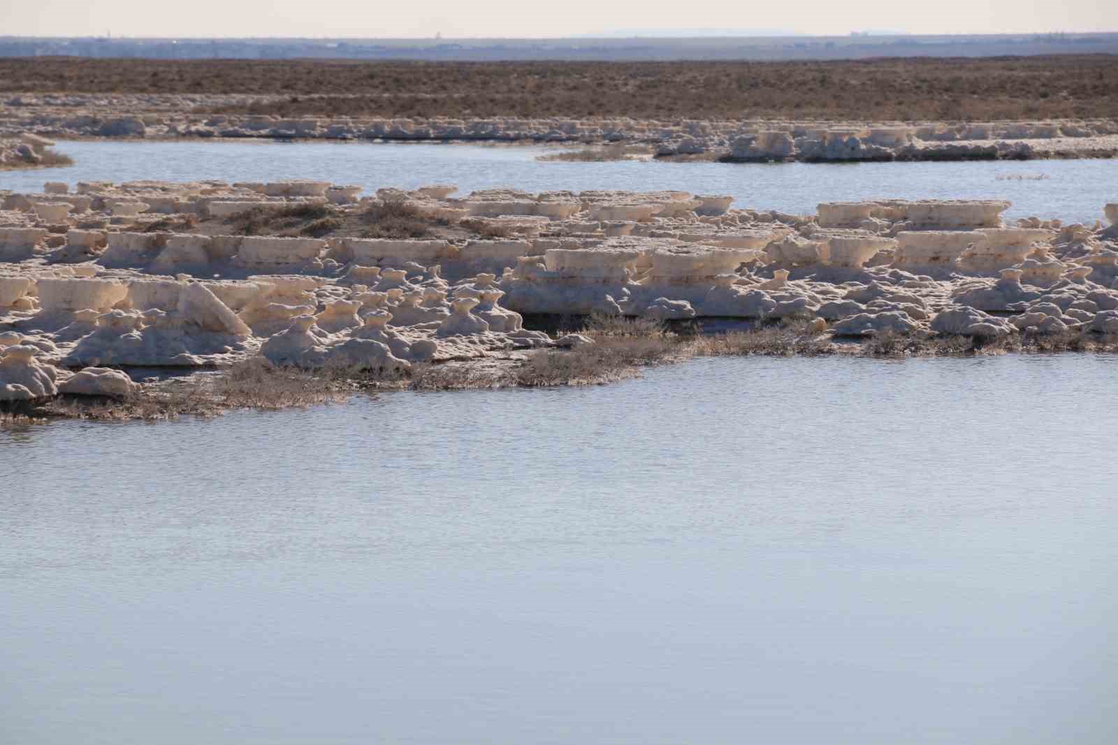 Kuruma tehlikesi yaşanan Tuz Gölü yeniden canlandı
