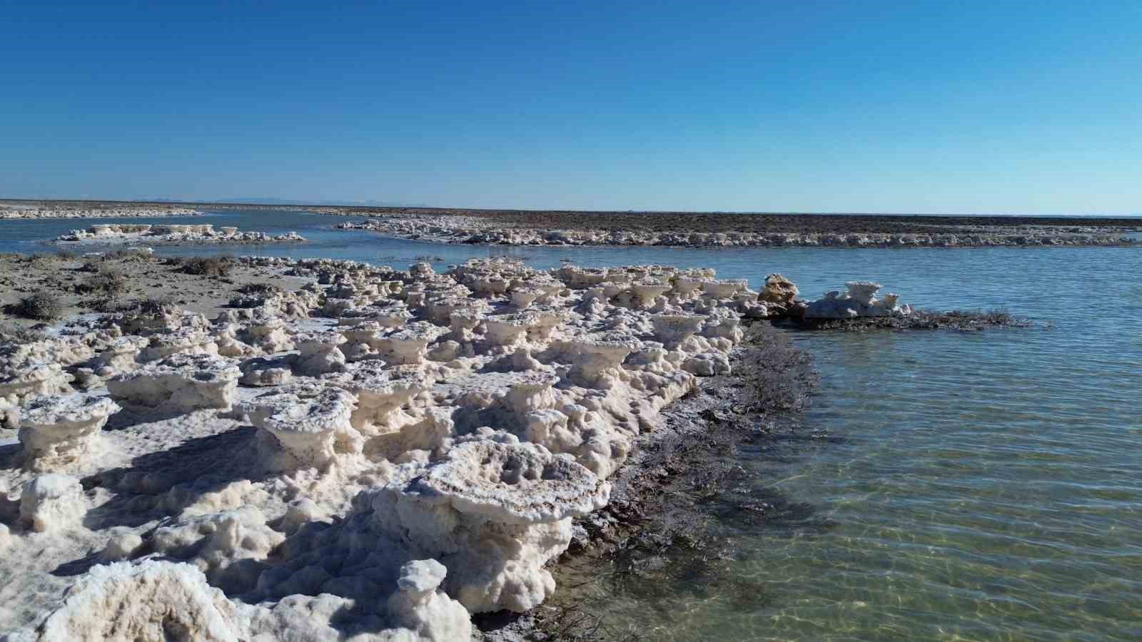 Kuruma tehlikesi yaşanan Tuz Gölü yeniden canlandı
