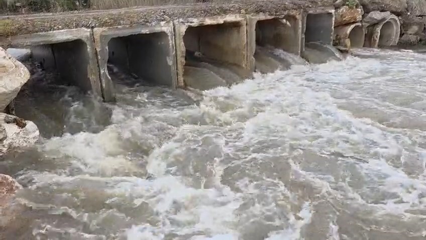 Kuruyan dere coştu, İznik Gölü’ne umut oldu
