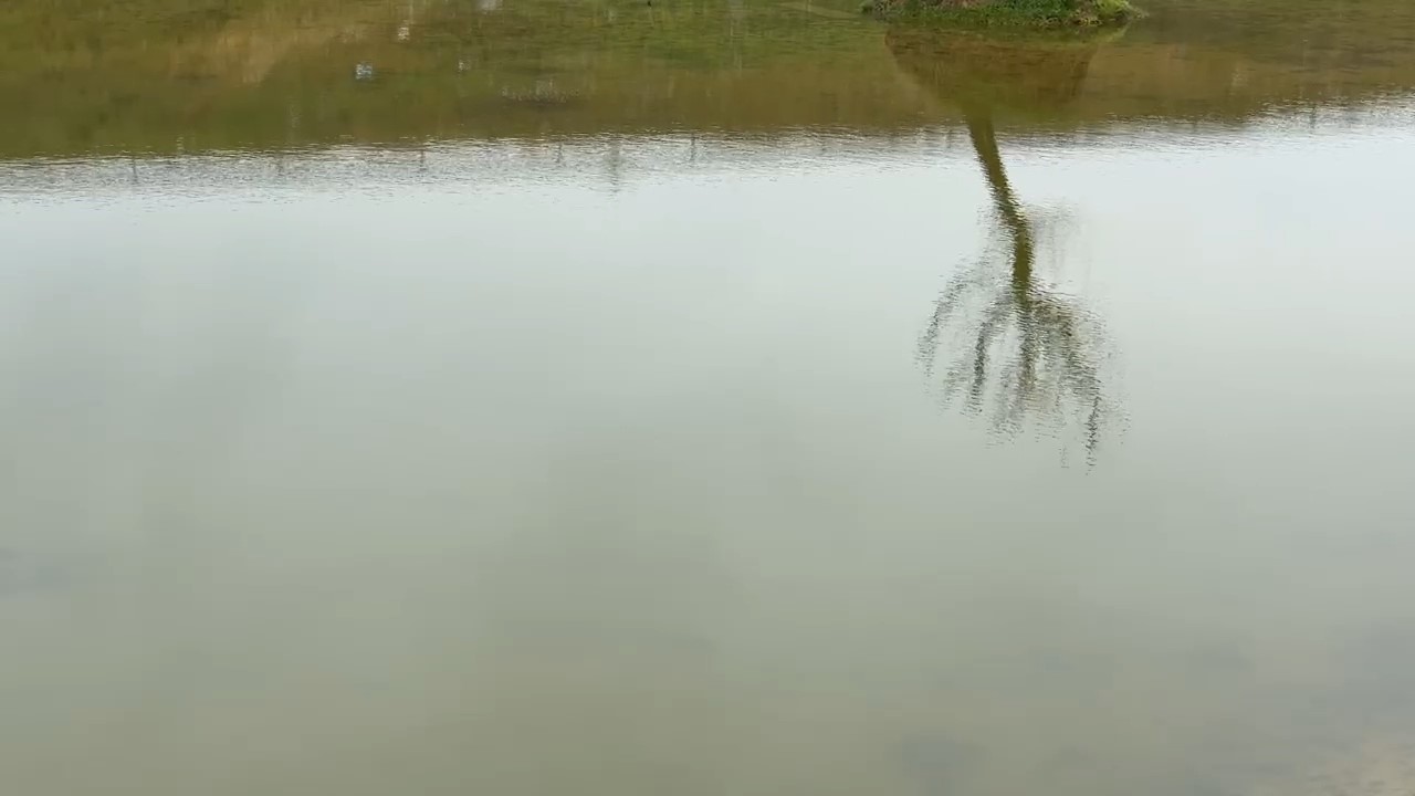 Kuruyan gölet yeniden canlandı: Çatlayan topraklar suyla buluştu
Kuruyan gölet yeniden canlandı: Çatlayan topraklar suyla buluştu