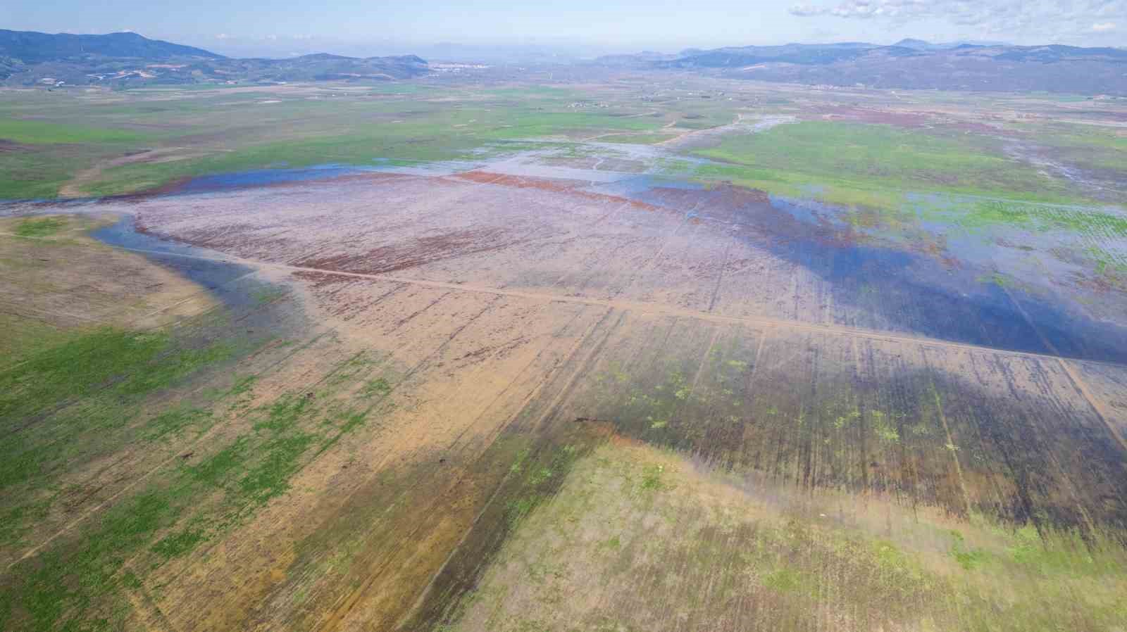 Kuruyan Marmara Gölünde umutlandıran görüntü
