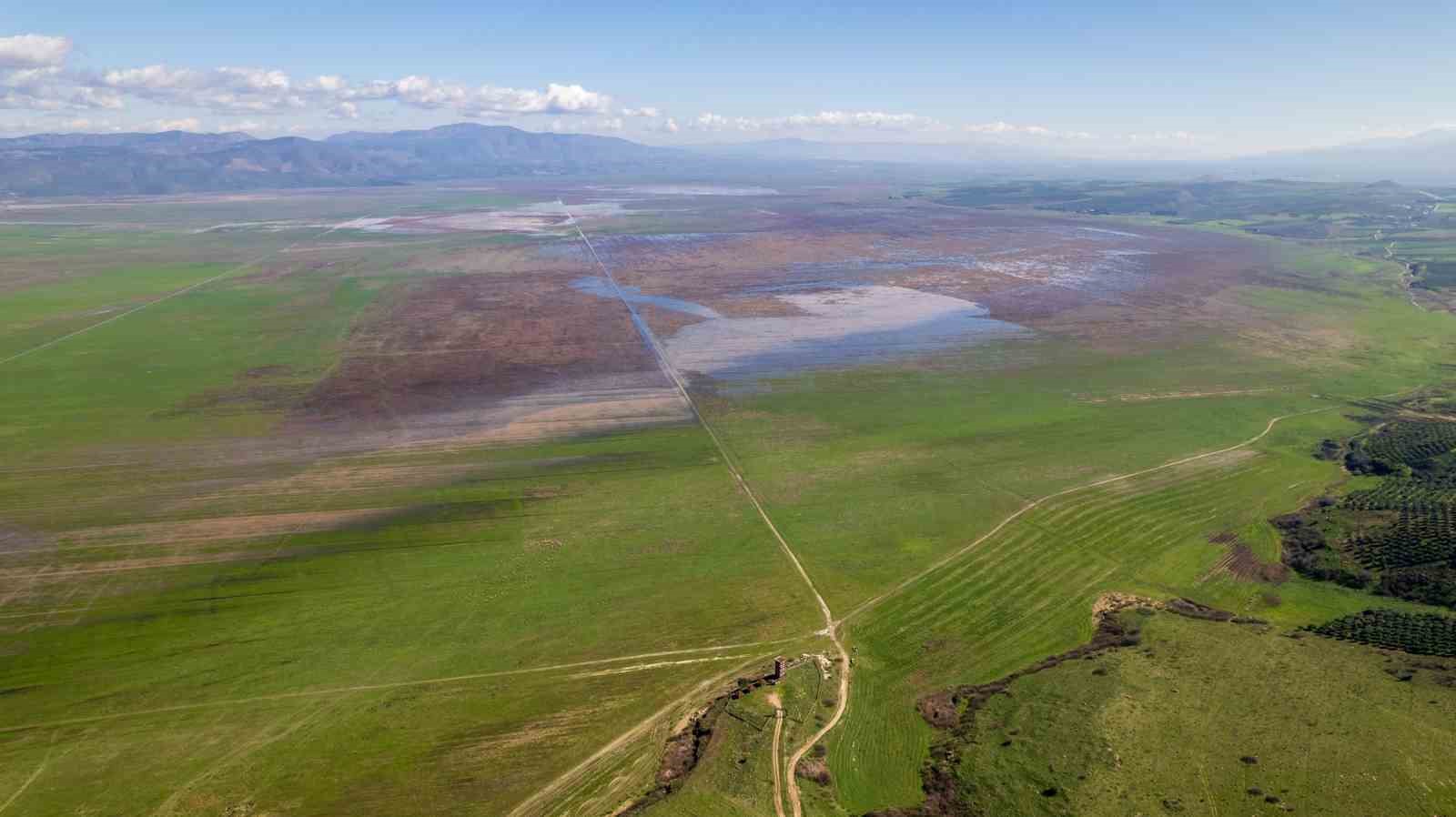 Kuruyan Marmara Gölünde umutlandıran görüntü

