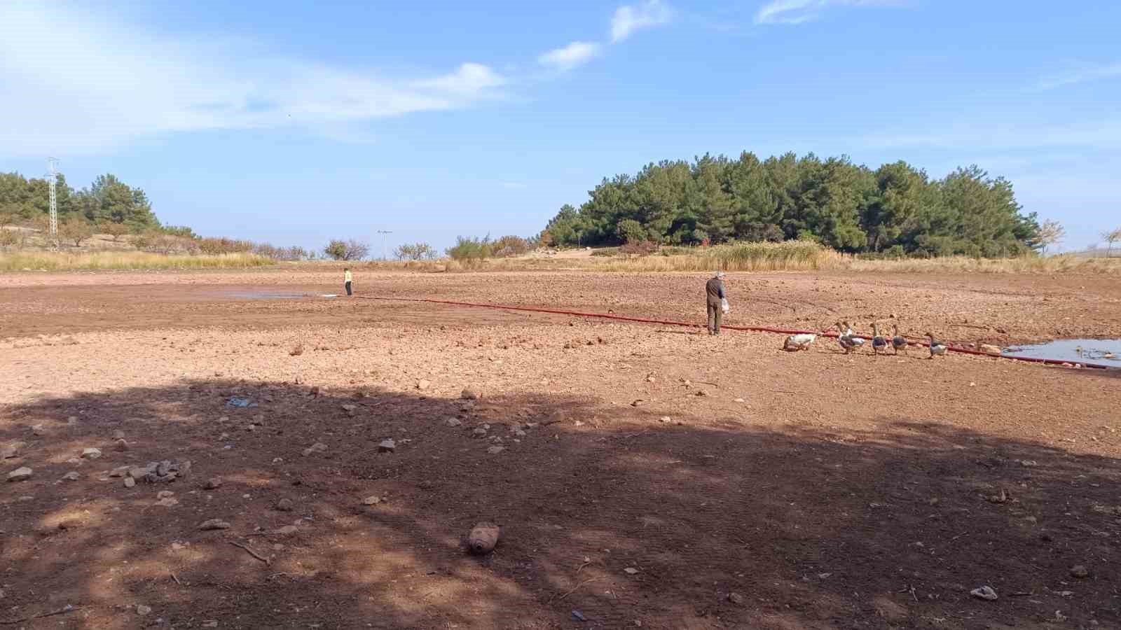 Kuruyan Sülüklü Göl yeniden canlandı
