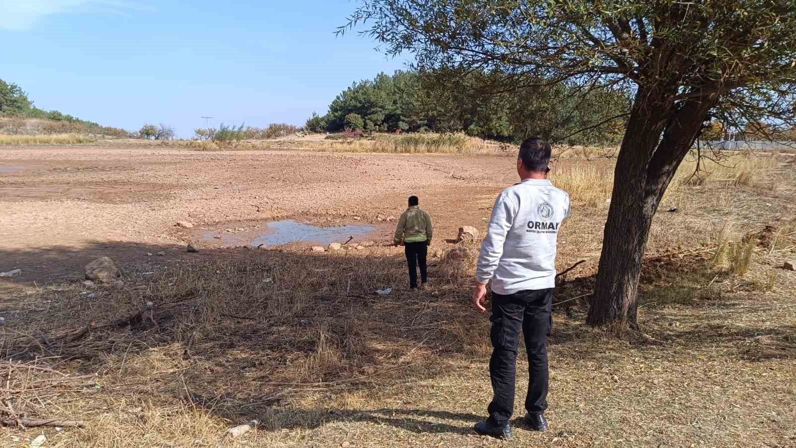 Kuruyan Sülüklü Göl yeniden canlandı
