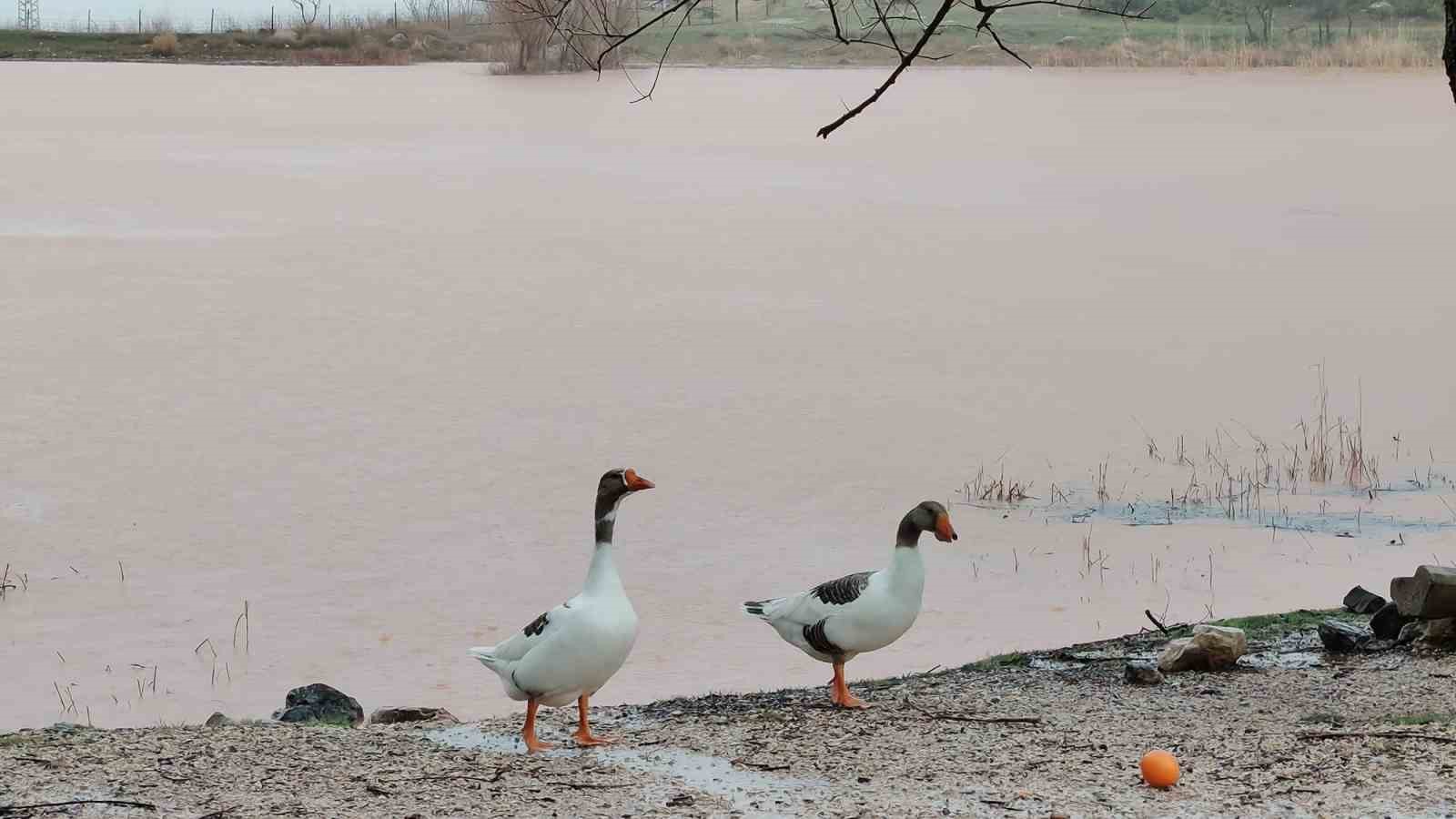 Kuruyan Sülüklü Göl yeniden canlandı
