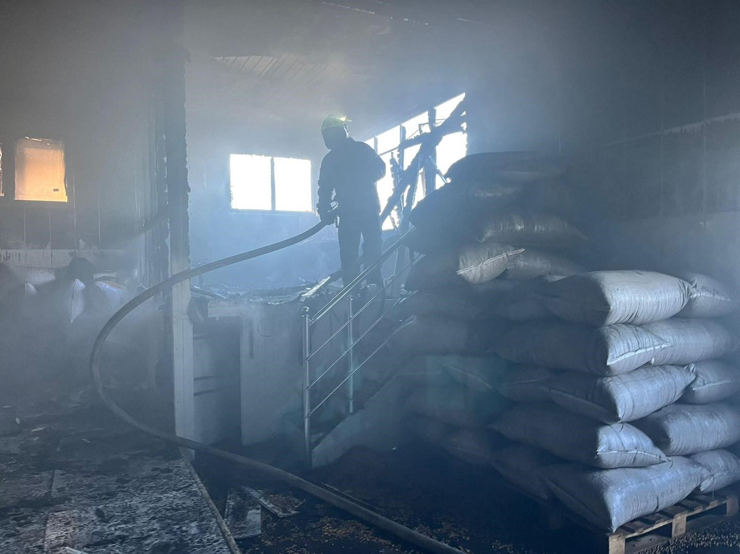 Kuruyemiş fabrikasında korkutan yangın
