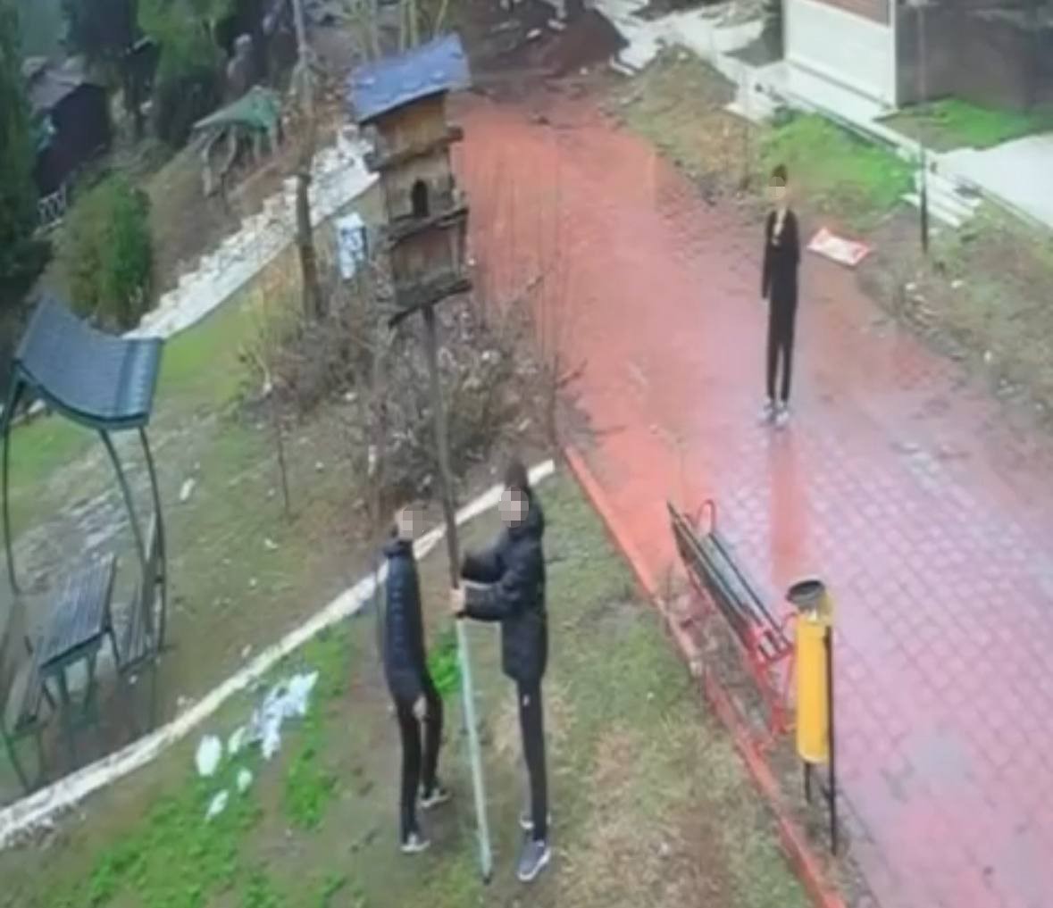 Kuş yuvasını parçalayan 4 çocuğa ev hapsi cezası
