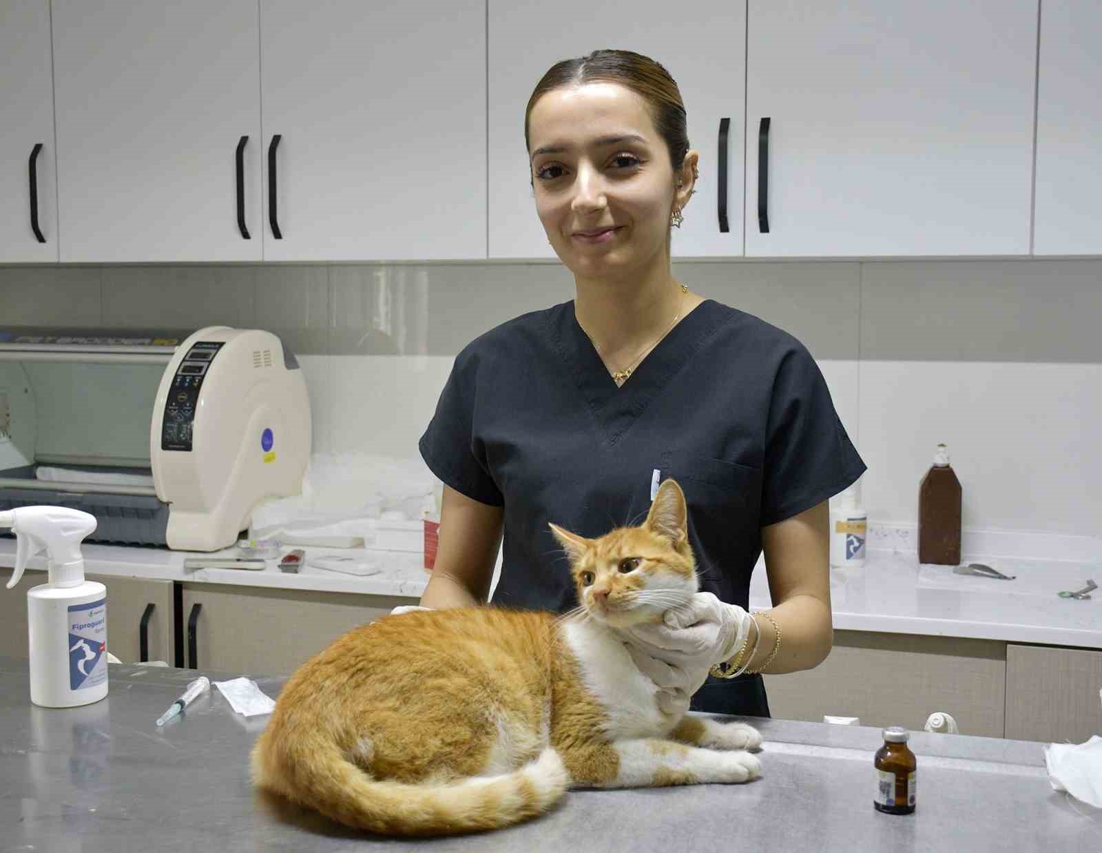 Kuşadası Belediyesi patili dostların yanında
