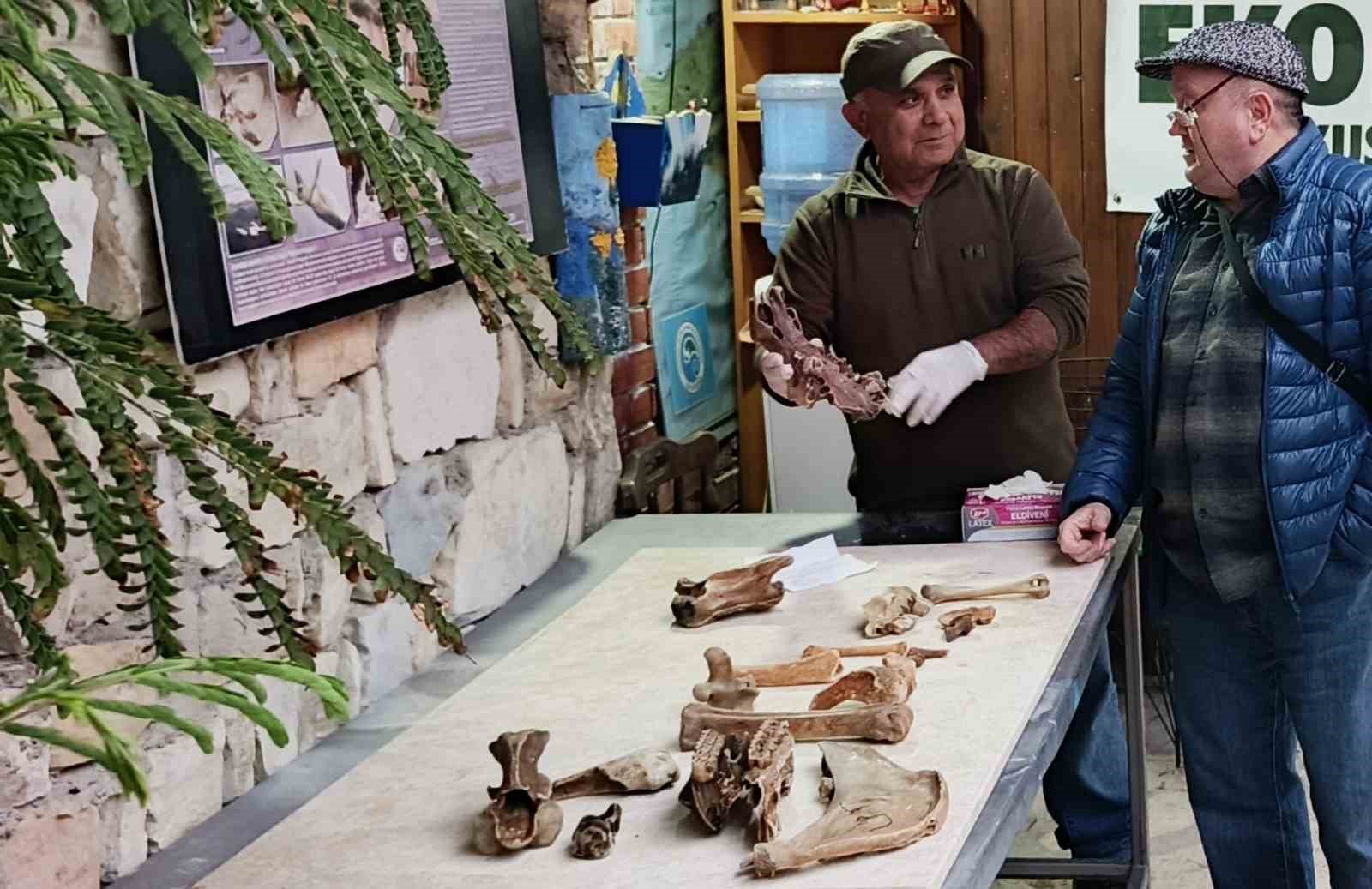 Kuşadası kıyılarında fırtına sonrası ortaya çıkan kemikler incelendi
