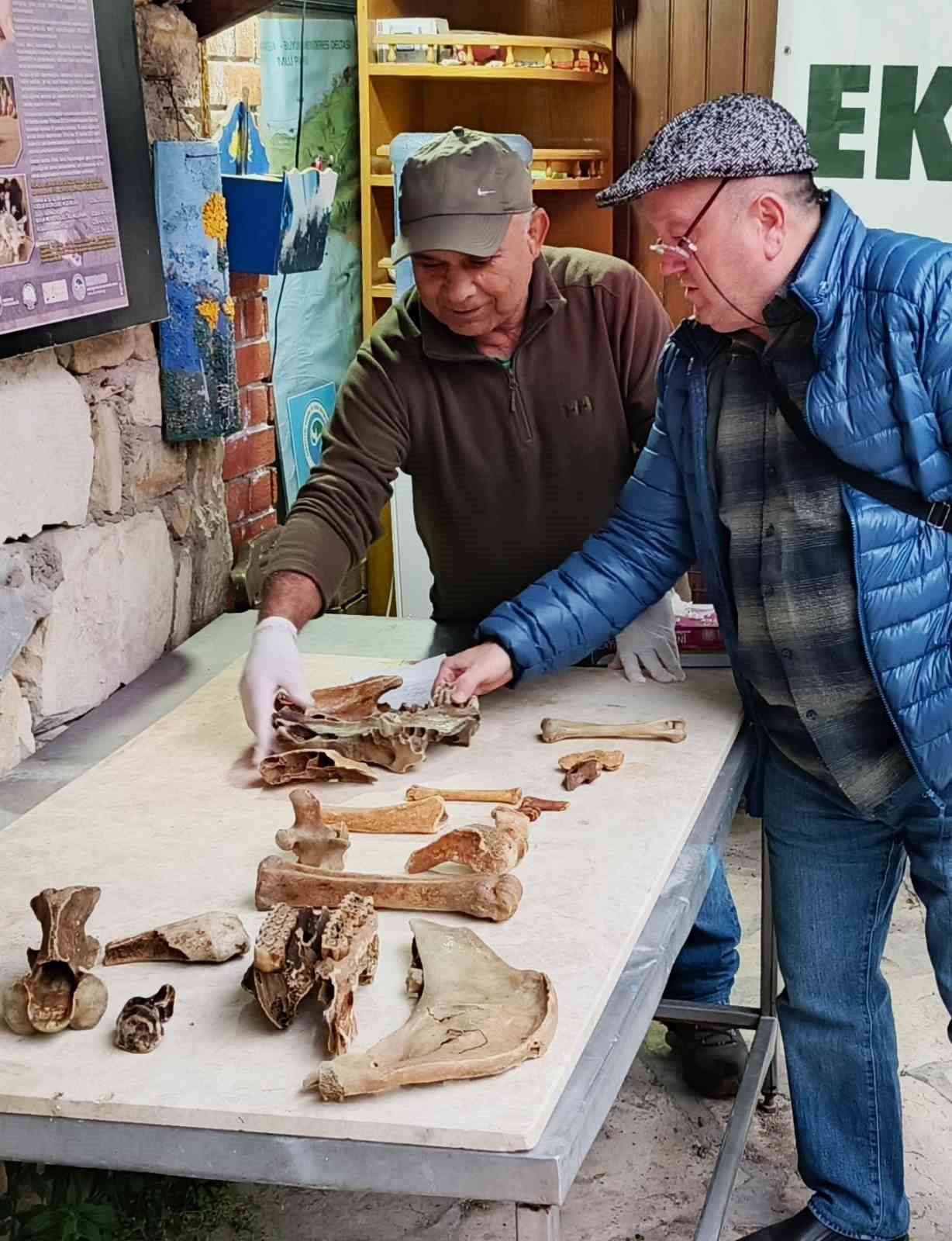 Kuşadası kıyılarında fırtına sonrası ortaya çıkan kemikler incelendi
