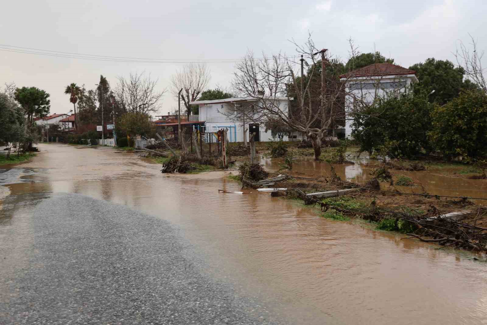 Kuşadası’nda bahçeler göle döndü, ağaçlar sular altında kaldı
