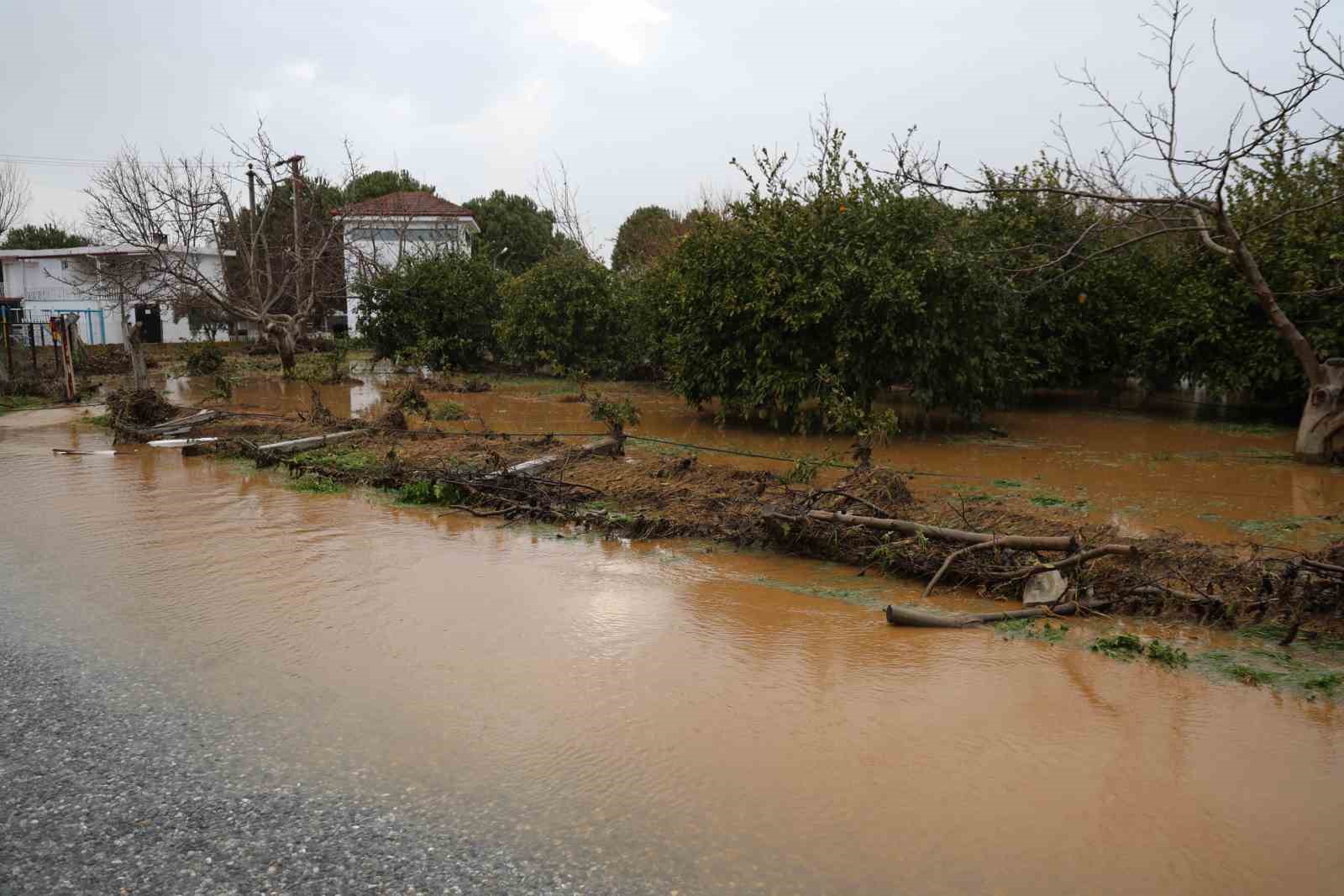 Kuşadası’nda bahçeler göle döndü, ağaçlar sular altında kaldı
