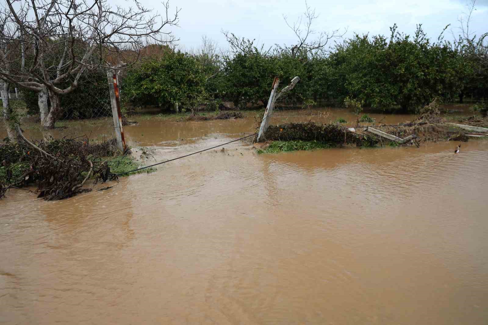 Kuşadası’nda bahçeler göle döndü, ağaçlar sular altında kaldı
