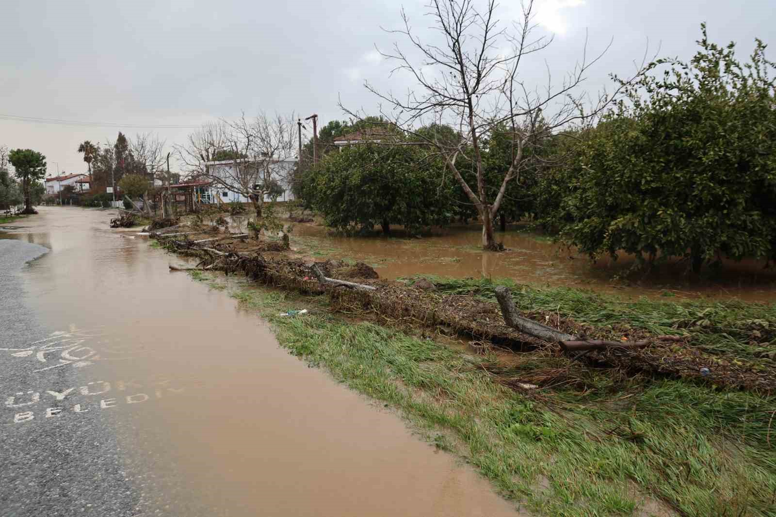 Kuşadası’nda bahçeler göle döndü, ağaçlar sular altında kaldı
