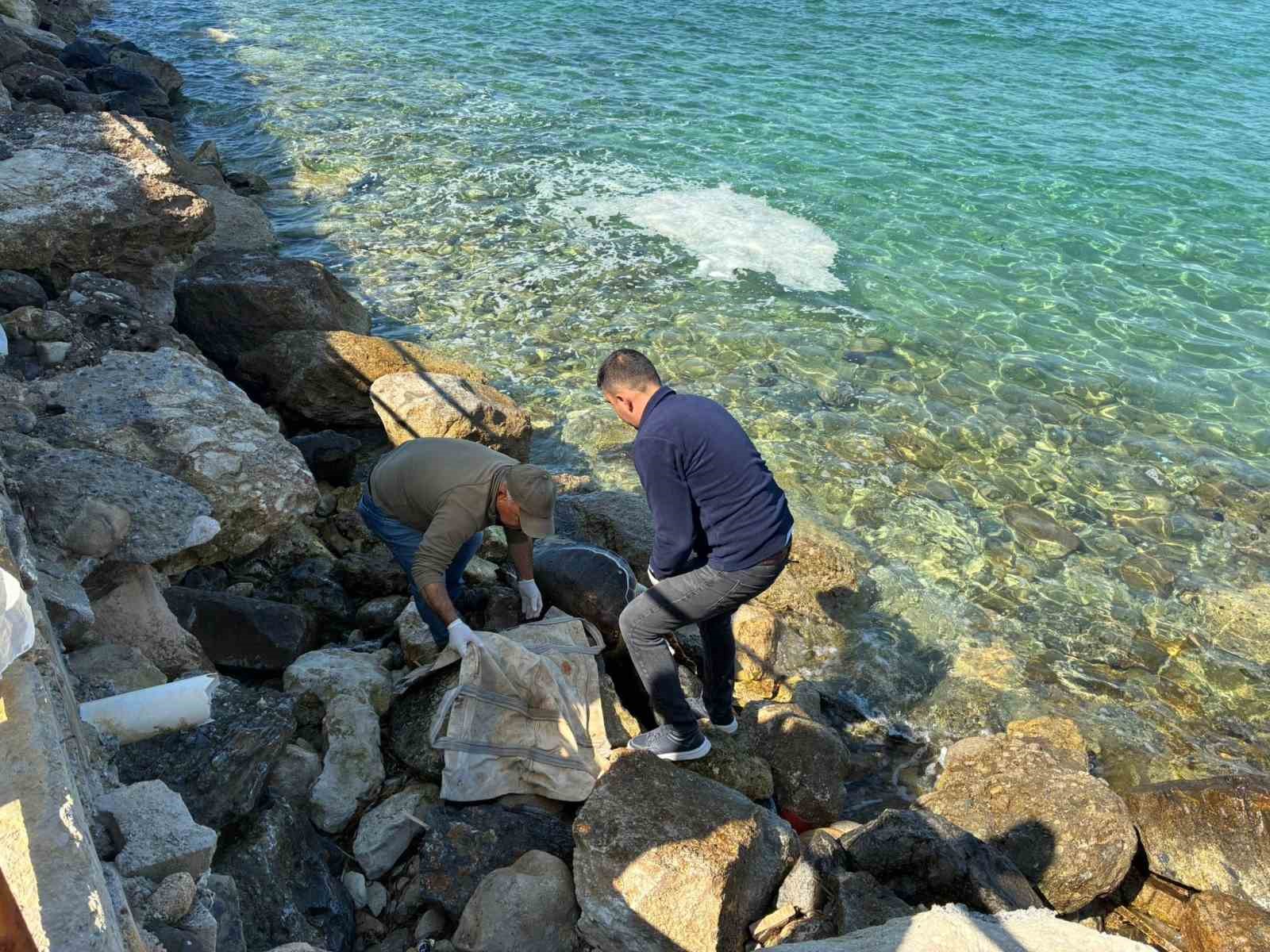 Kuşadası’nda deniz kaplumbağası ölümleri artıyor: Bir haftada 7 kayıp
Kuşadası’nda deniz kaplumbağası ölümleri artıyor: Bir haftada 7 kayıp