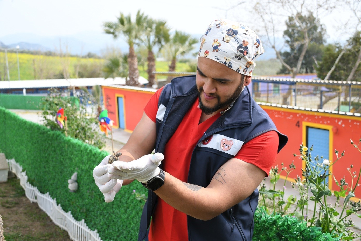 Kuşadası’nda kaplumbağalar için özel yaşam alanı oluşturuldu
Kuşadası’nda kaplumbağalar için özel yaşam alanı oluşturuldu