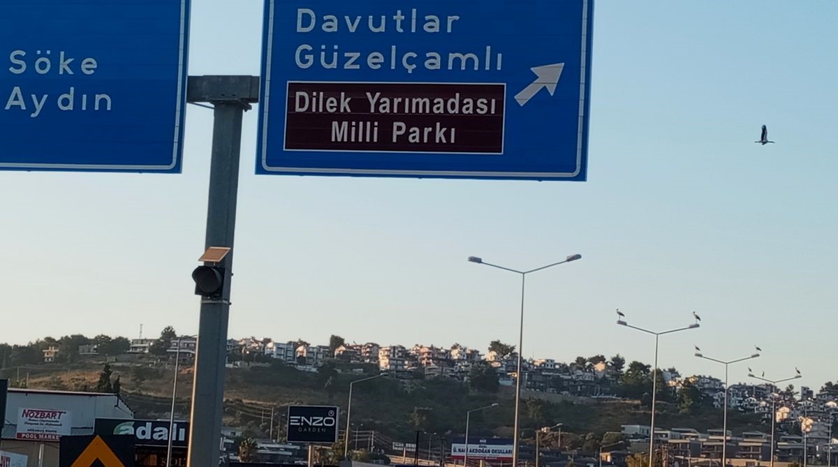 Kuşadası’nda leylekler geri döndü
