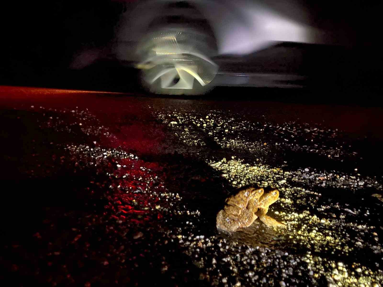 Kütahya’da 5 bin yıllık göç yeniden başladı
Kütahya’da 5 bin yıllık göç yeniden başladı