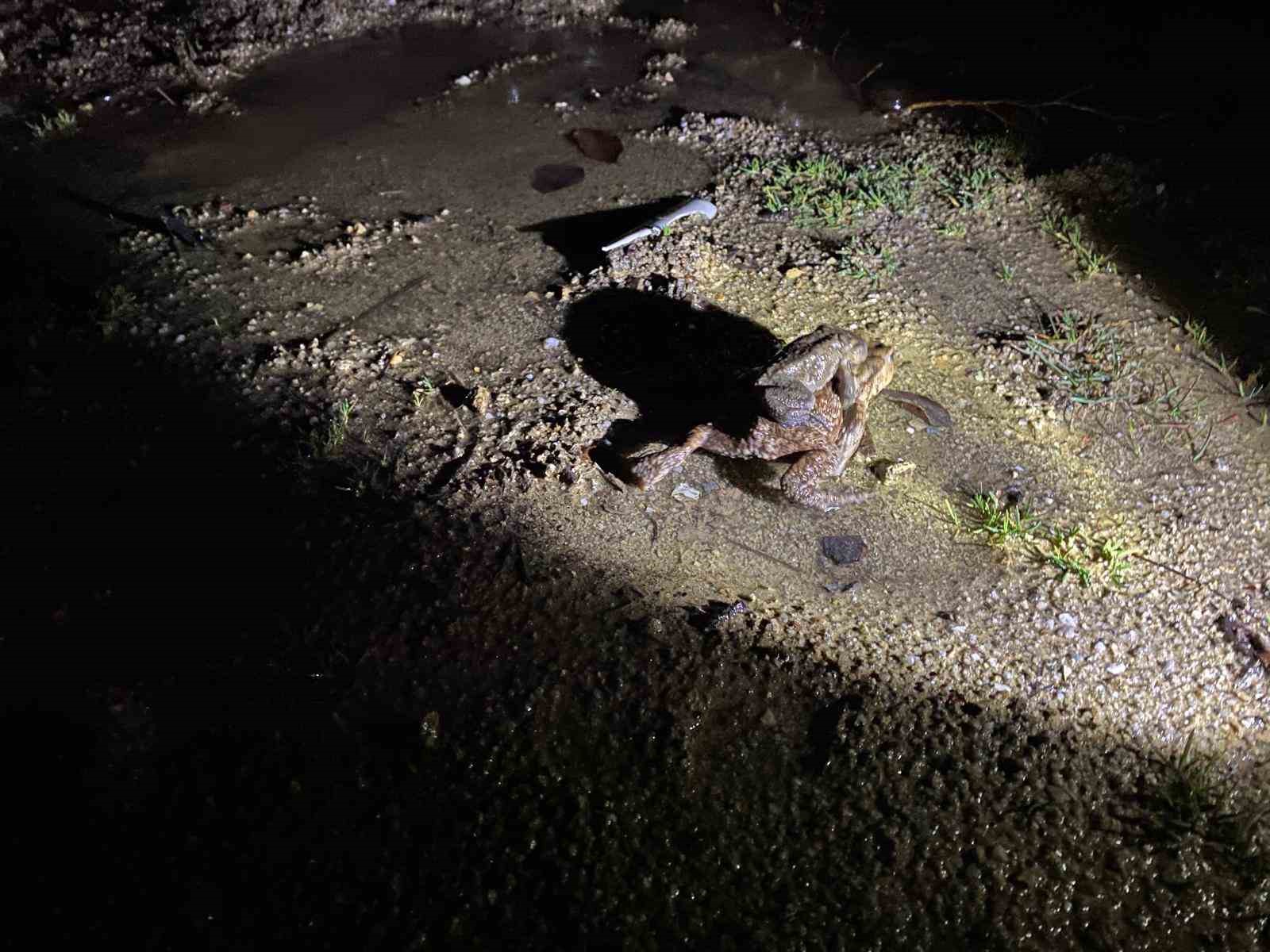 Kütahya’da 5 bin yıllık göç yeniden başladı
Kütahya’da 5 bin yıllık göç yeniden başladı