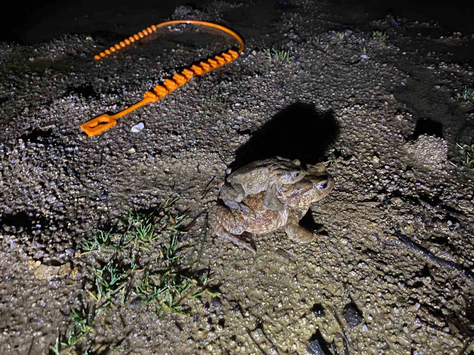 Kütahya’da 5 bin yıllık göç yeniden başladı
Kütahya’da 5 bin yıllık göç yeniden başladı
