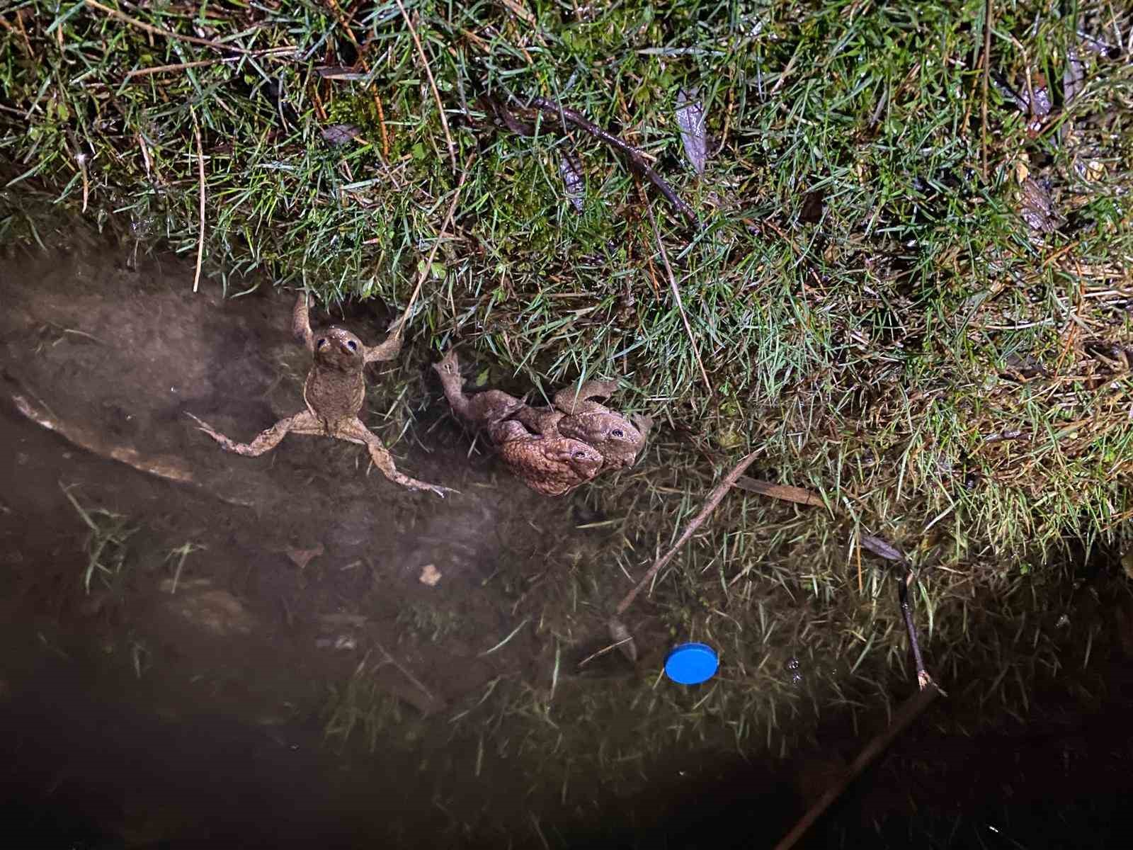 Kütahya’da 5 bin yıllık göç yeniden başladı
Kütahya’da 5 bin yıllık göç yeniden başladı