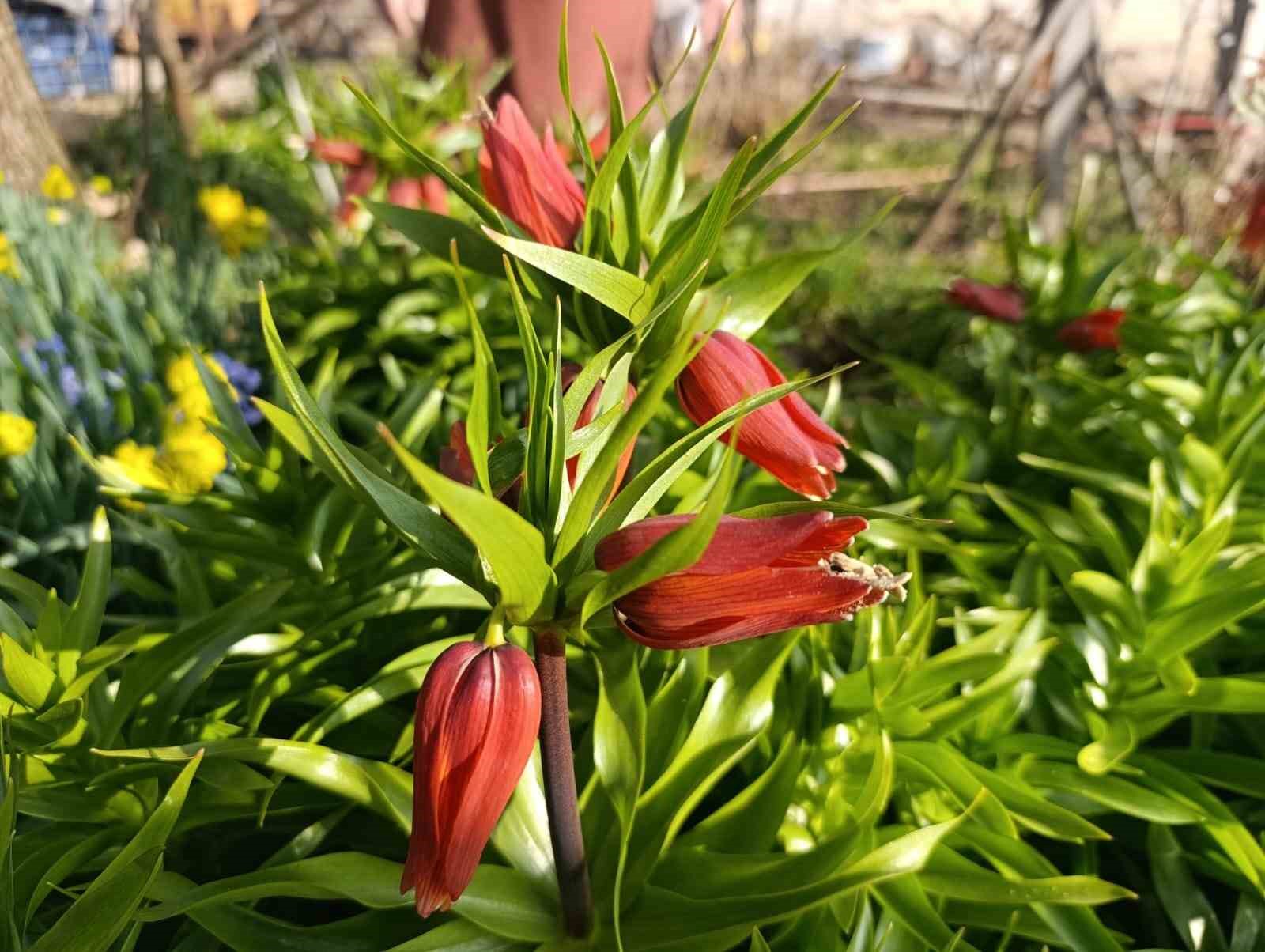Kütahya’da "Ağlayan Gelin" güzelliği
