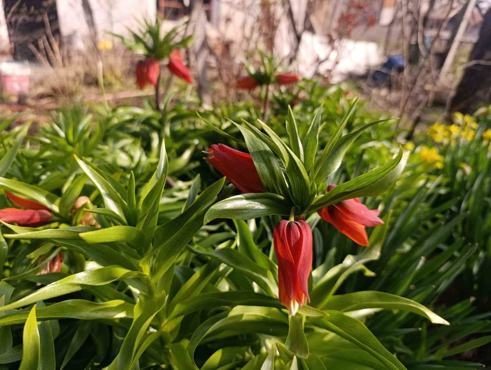 Kütahya’da "Ağlayan Gelin" güzelliği
