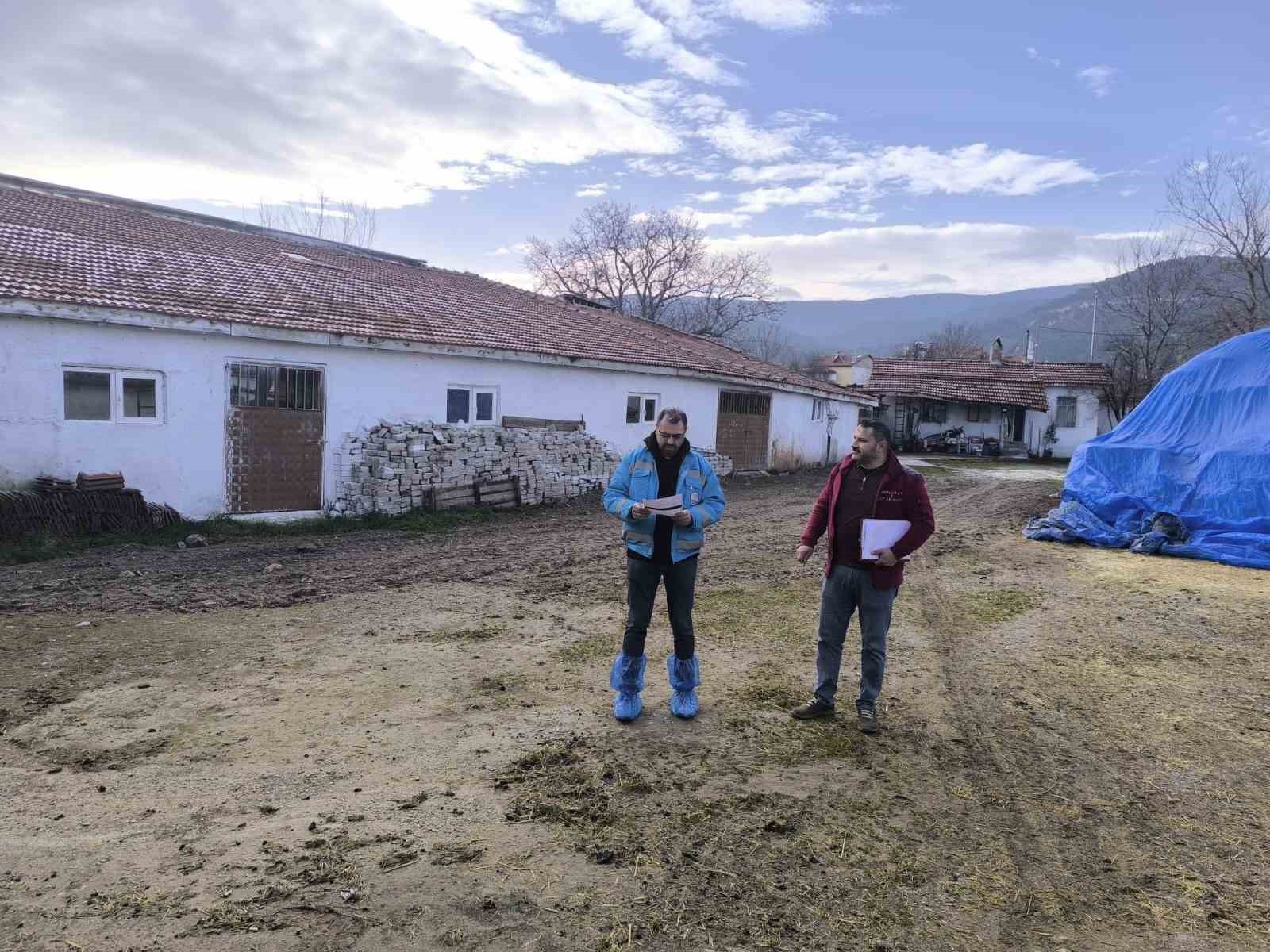 Kütahya’da hayvancılık işletmelerine yönelik kapasite tespiti sürüyor

