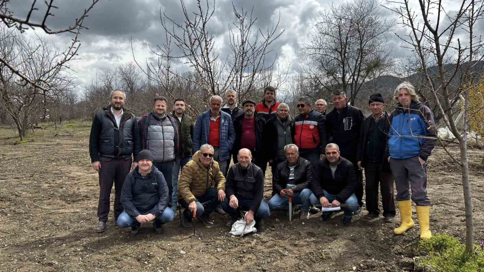 Kütahya’da meyve üreticilerine budama ve aşılama eğitimi
