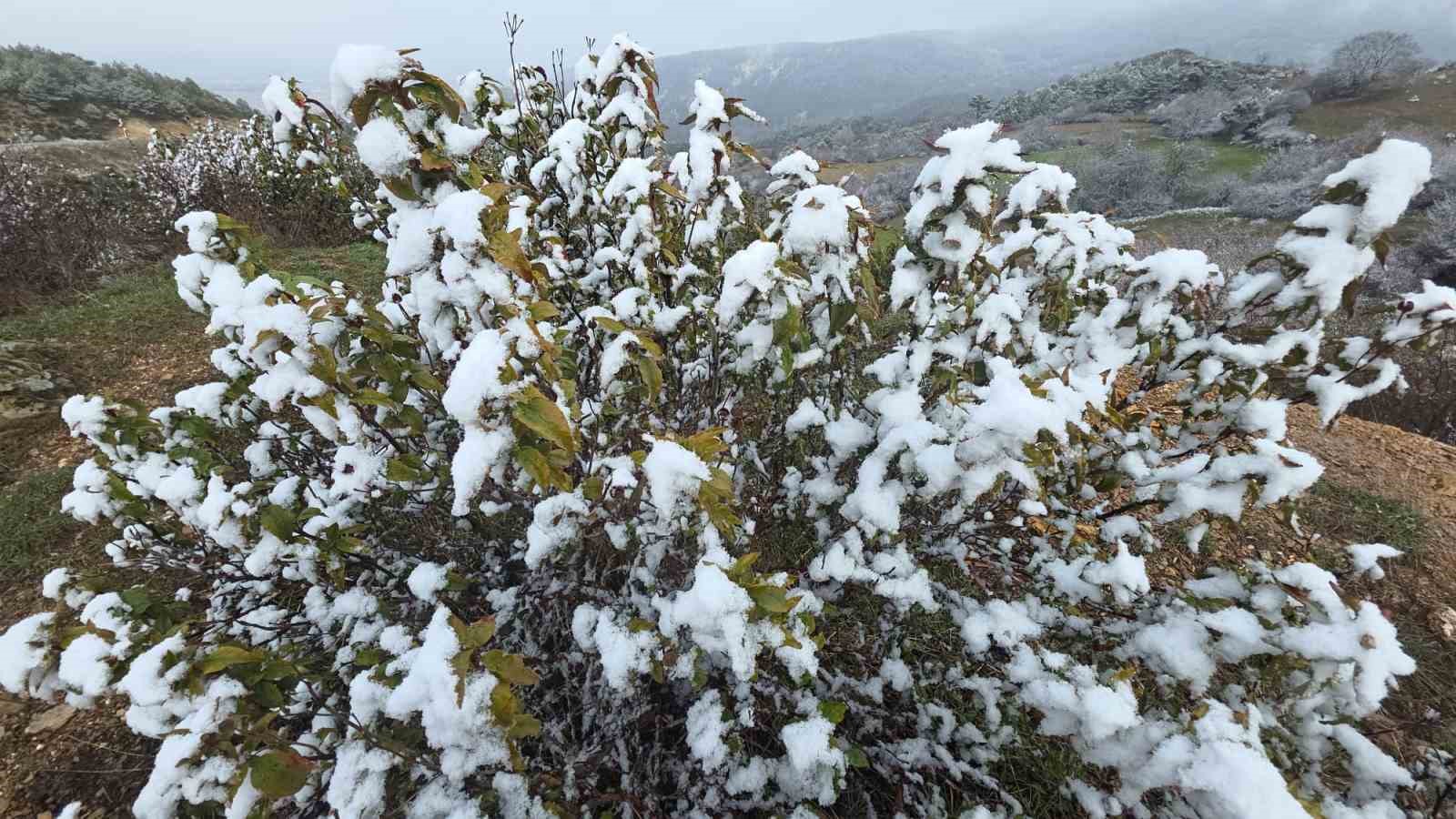 Kütahya’da nisan karı üreticileri endişelendirdi
