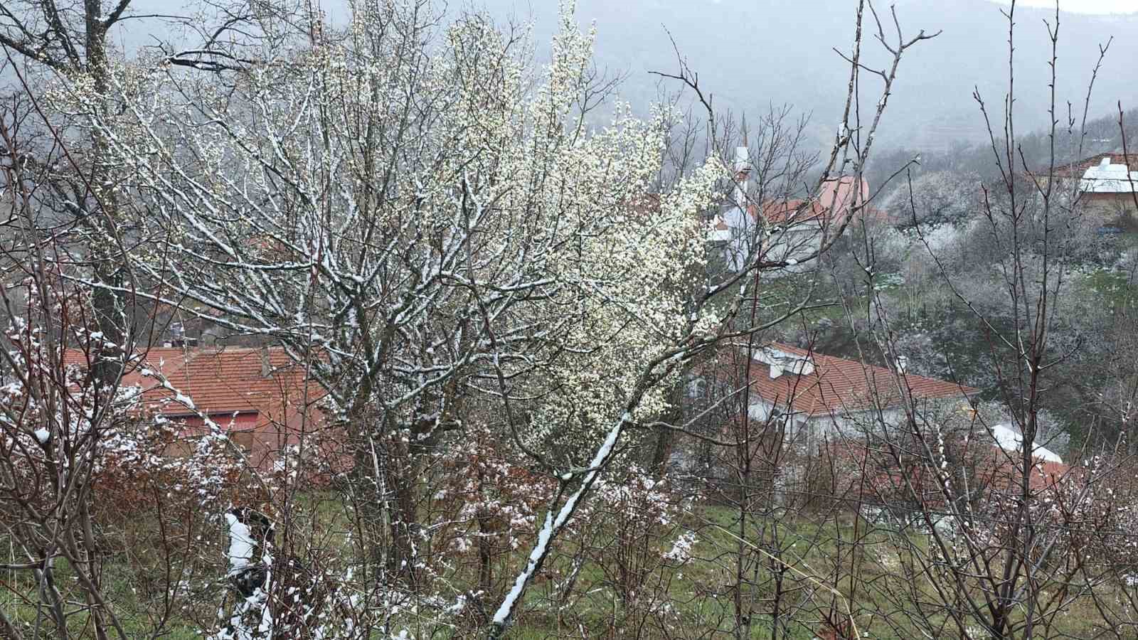 Kütahya’da nisan karı üreticileri endişelendirdi
