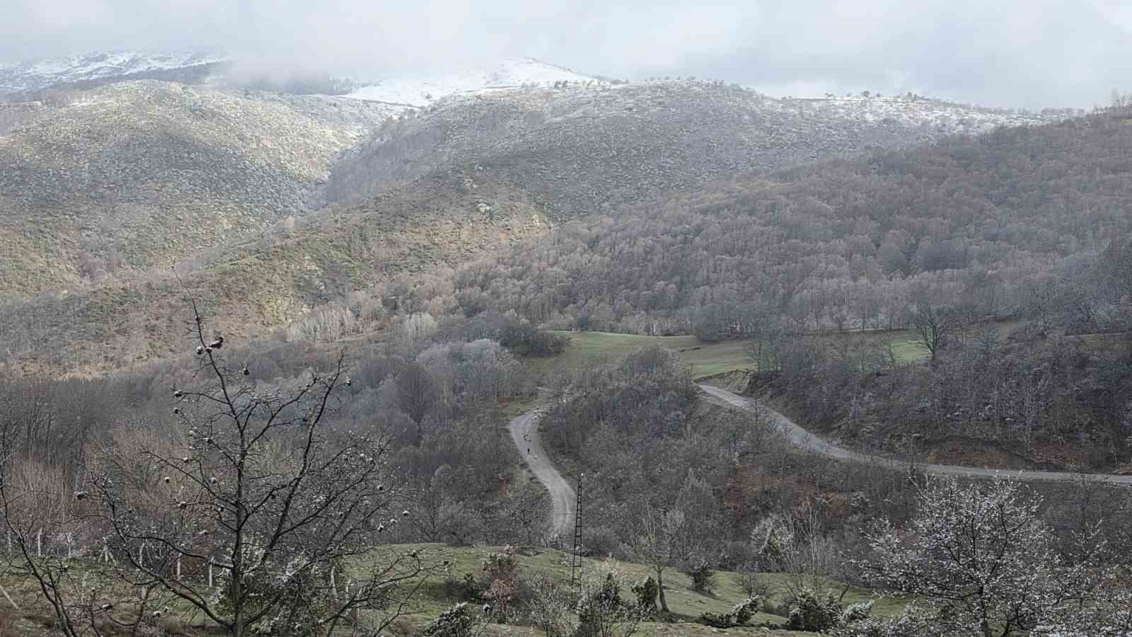 Kütahya’da nisan karı üreticileri endişelendirdi
