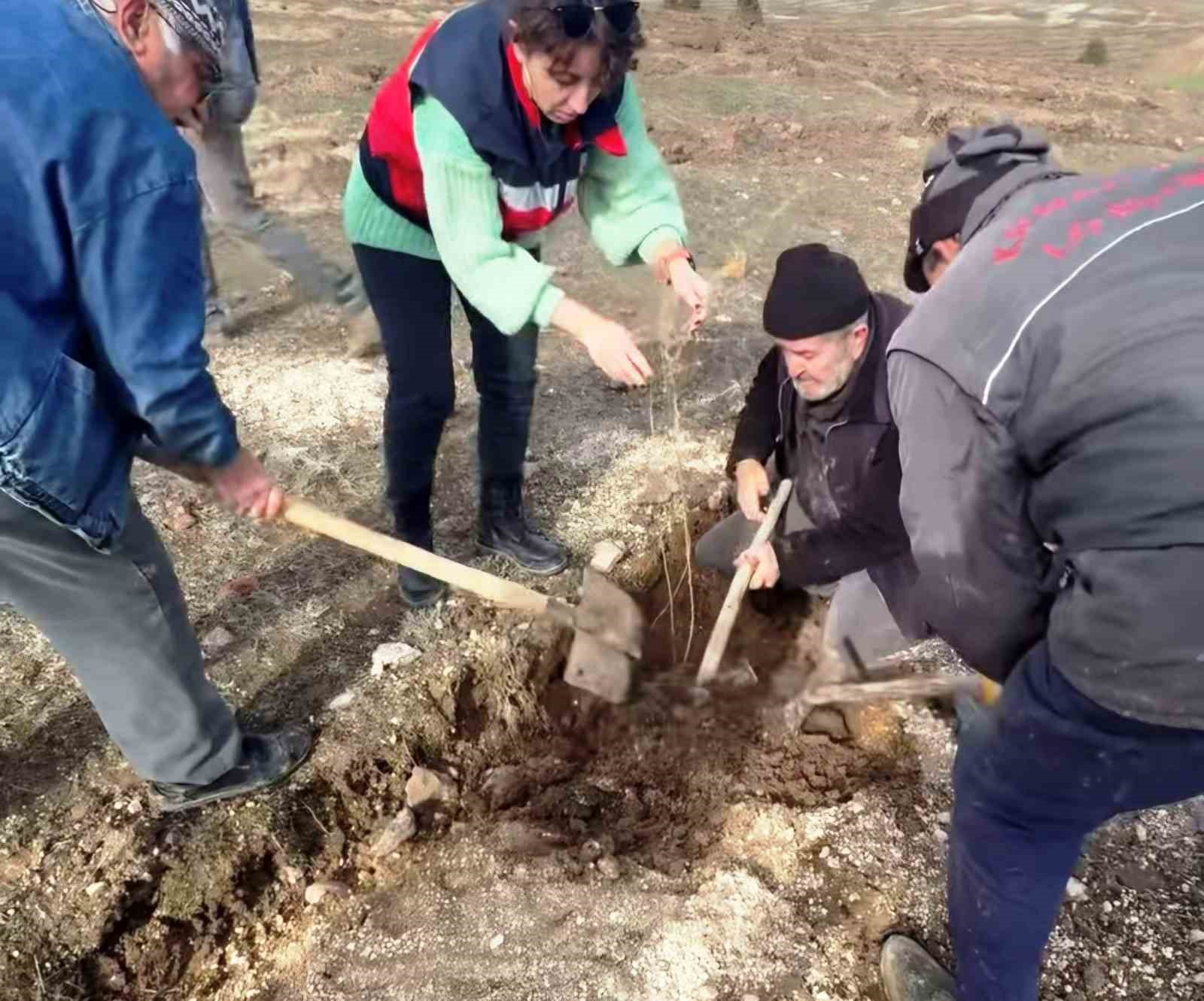 Kütahya’da ’Tuz Çalısı Projesi’ hayata geçirildi
