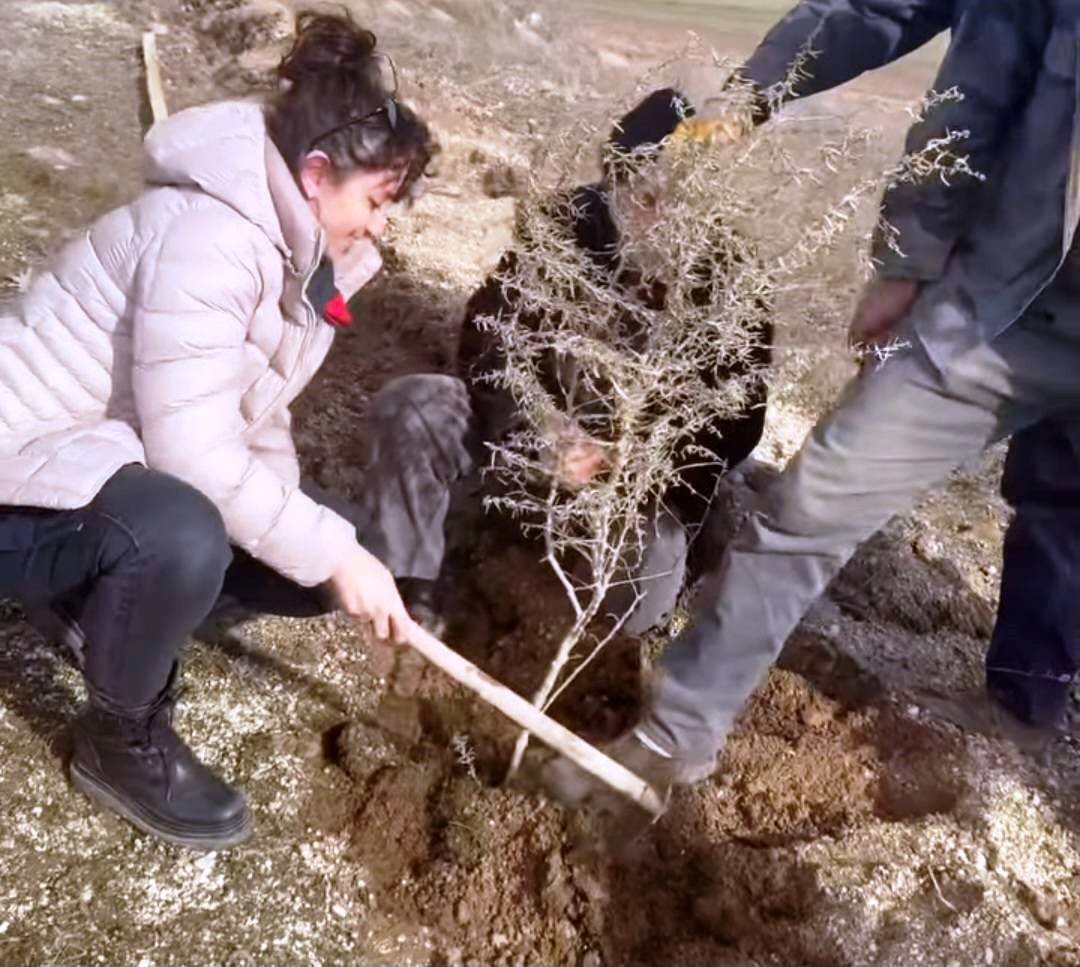 Kütahya’da ’Tuz Çalısı Projesi’ hayata geçirildi
