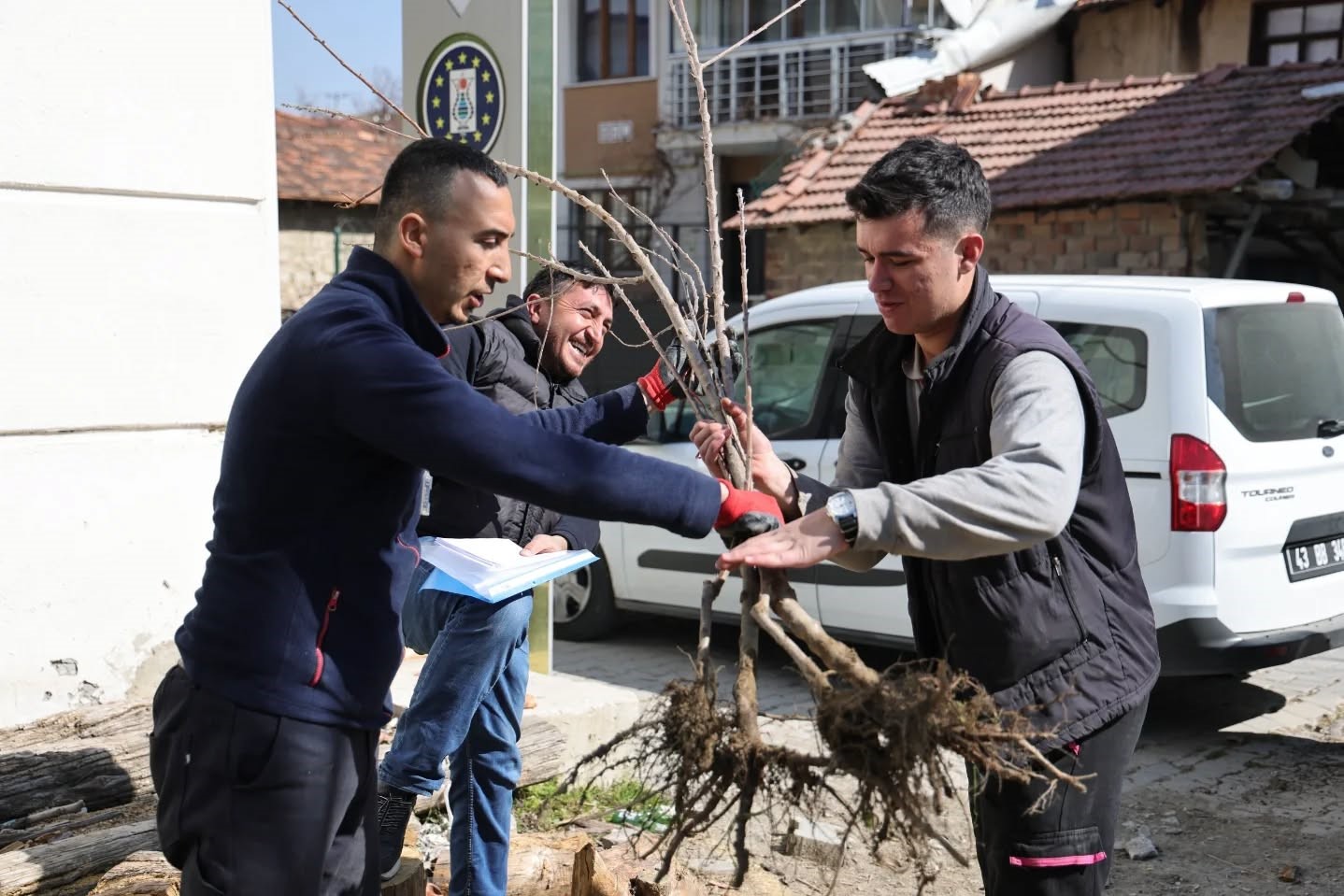 Kütahya’da yerel kiraz türleri yeniden toprakla buluşuyor
