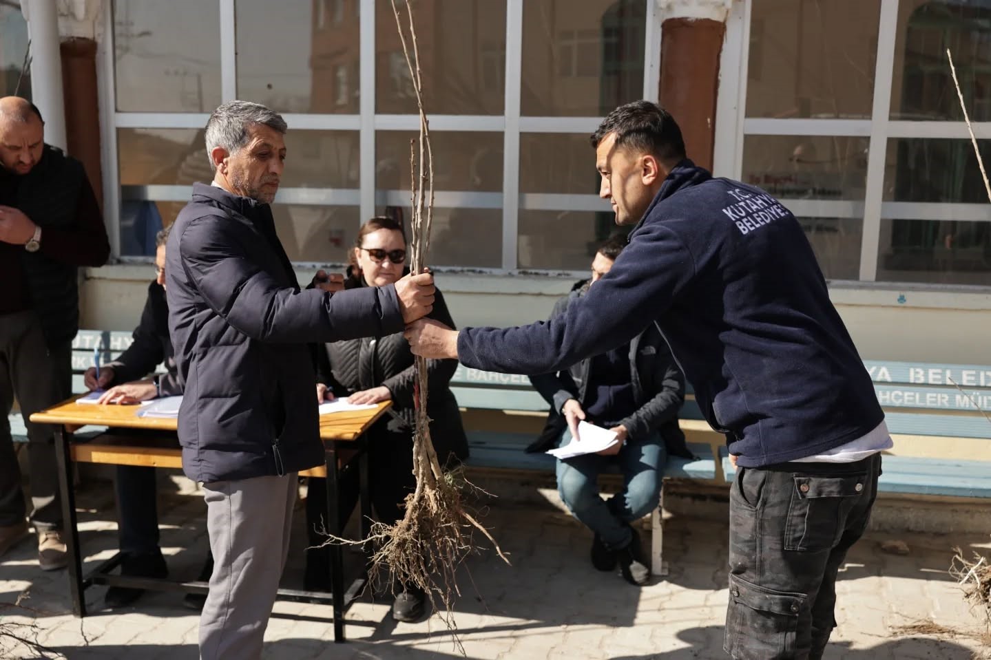 Kütahya’da yerel kiraz türleri yeniden toprakla buluşuyor
