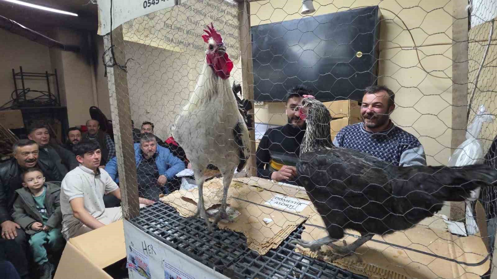 Kütahya’daki süs tavukları açık artırmayla satıldı
