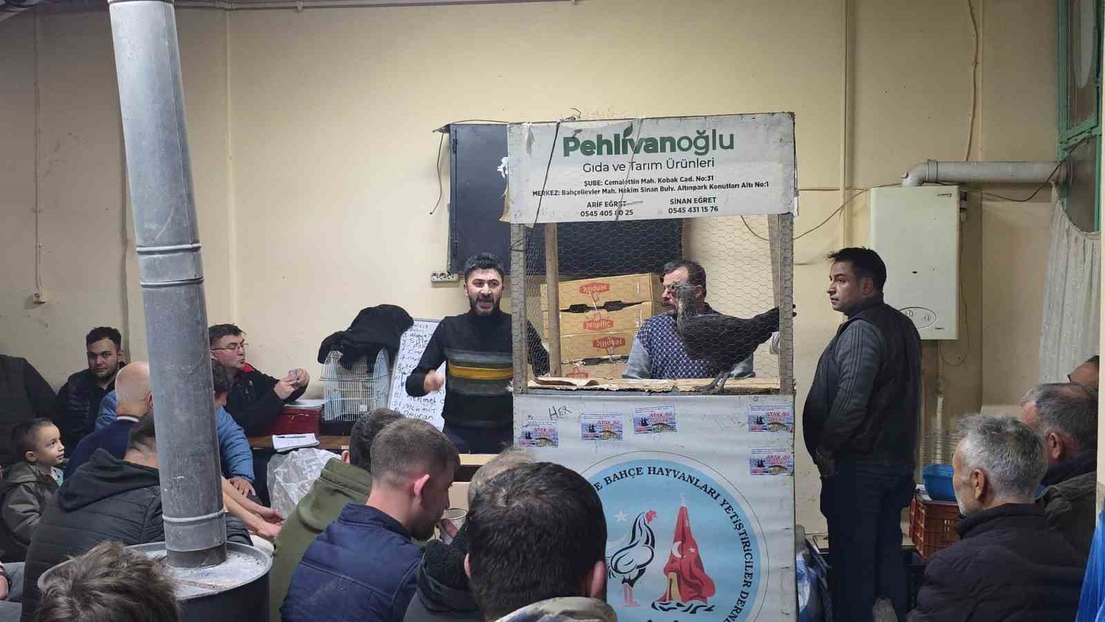 Kütahya’daki süs tavukları açık artırmayla satıldı
