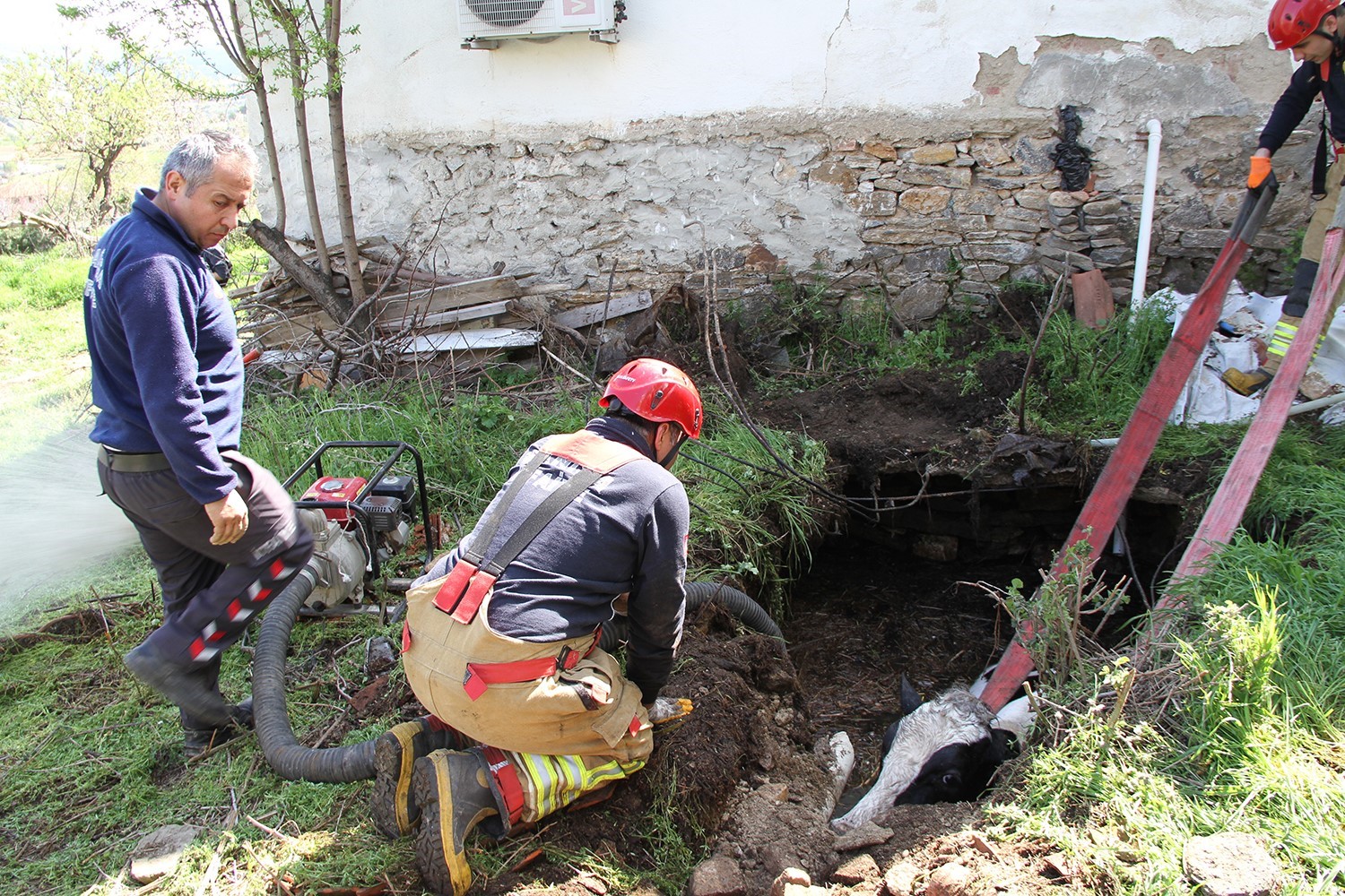 Kuyuya düşen 7 aylık gebe inek kurtarıldı
Kuyuya düşen 7 aylık gebe inek kurtarıldı