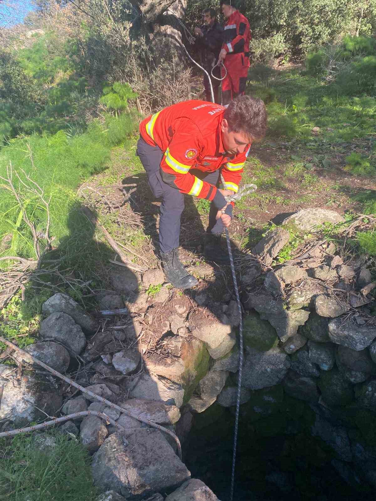 Kuyuya düşen buzağı kurtarıldı
