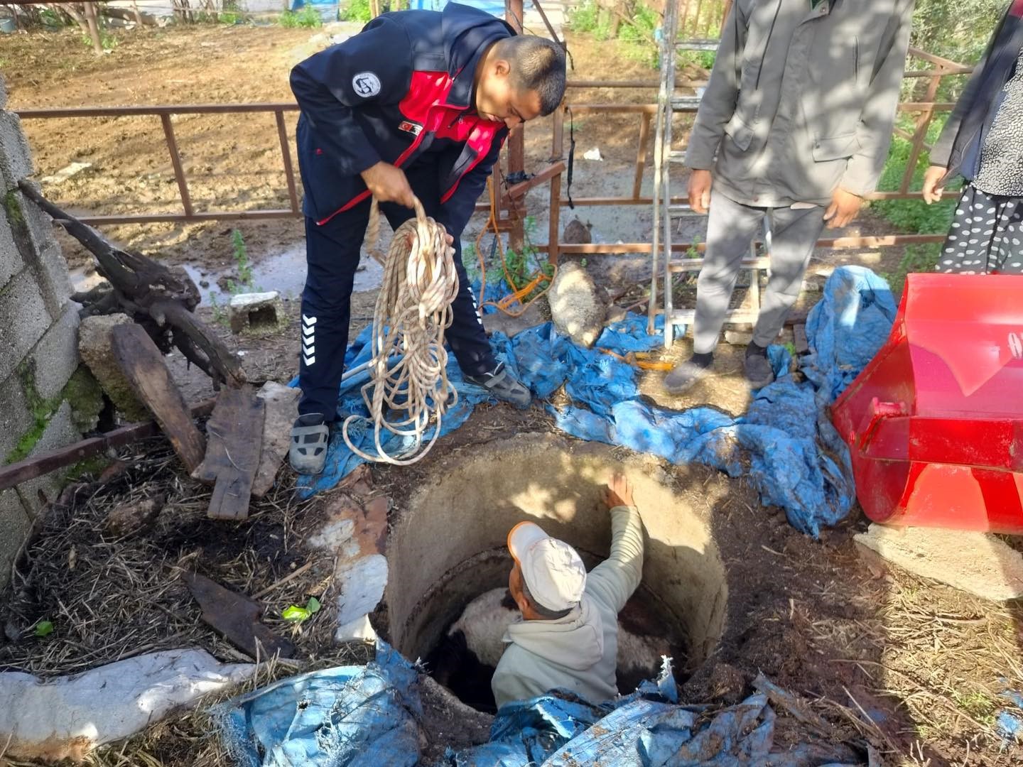 Kuyuya düşen buzağı zorlu çalışmayla kurtarıldı
