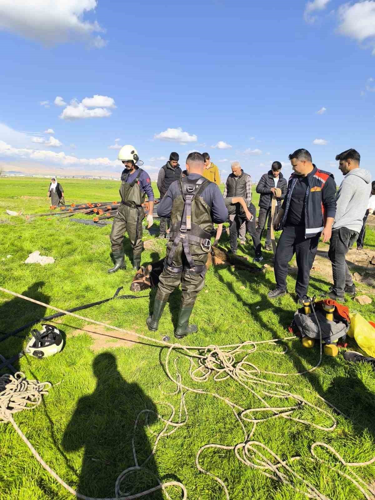 Kuyuya düşen inek itfaiye ekiplerince kurtarıldı
